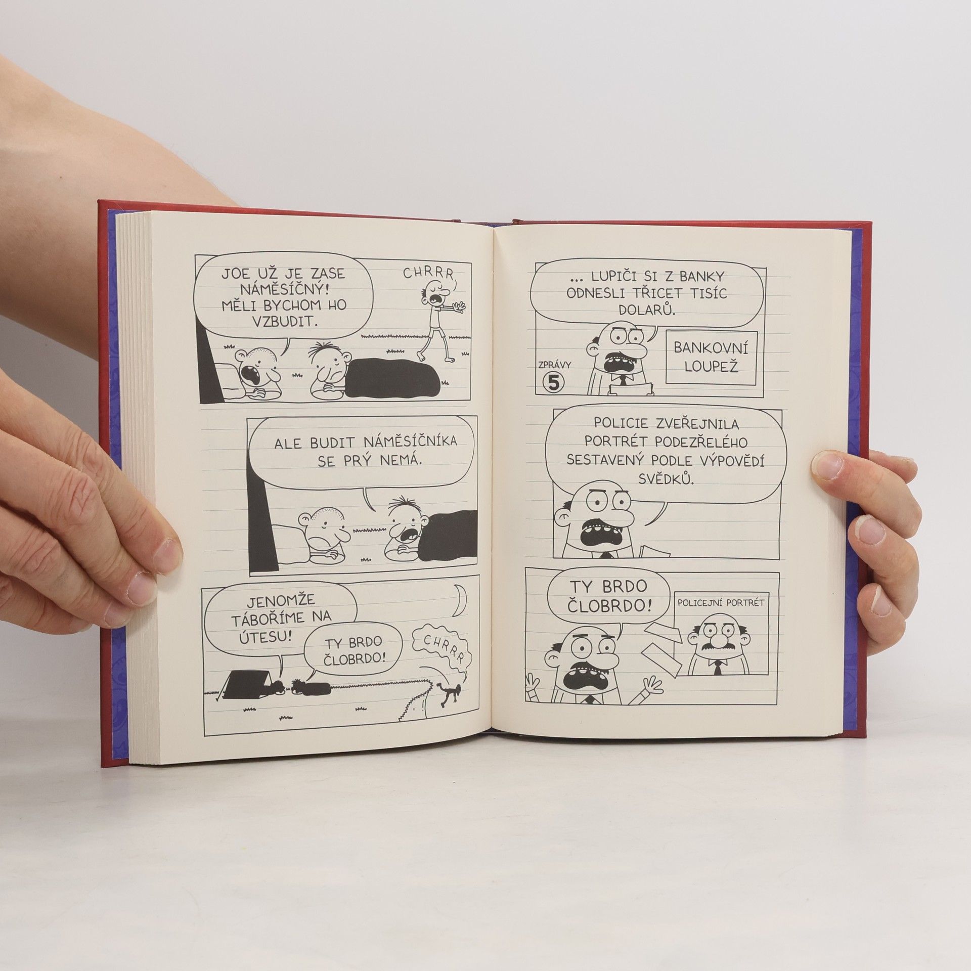 Jeff Kinney Deník báječného kamaráda