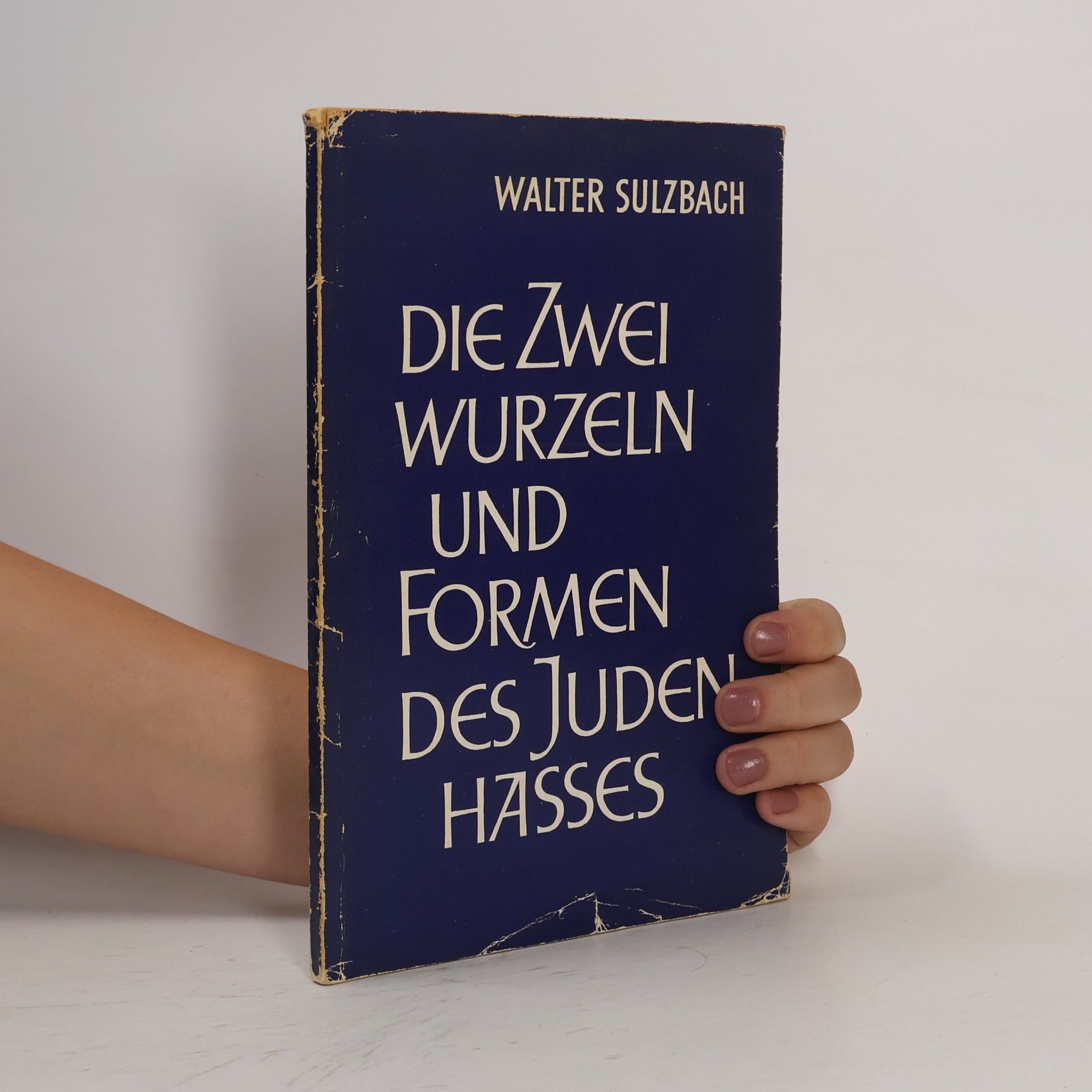 Walter Sulzbach Die Zwei wurzeln und Formen des Juden Hasses
