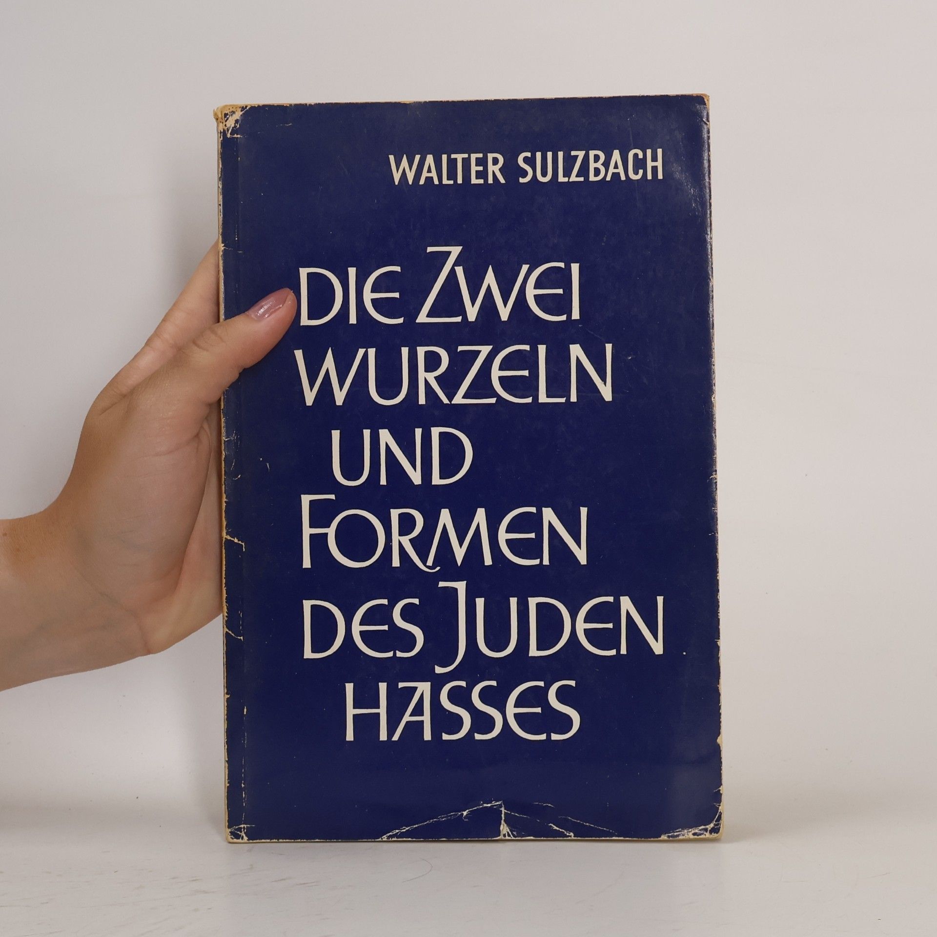 Walter Sulzbach Die Zwei wurzeln und Formen des Juden Hasses