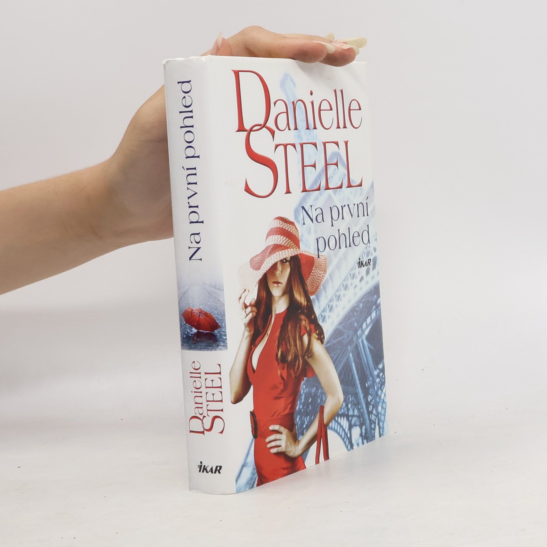 Danielle Steel Na první pohled