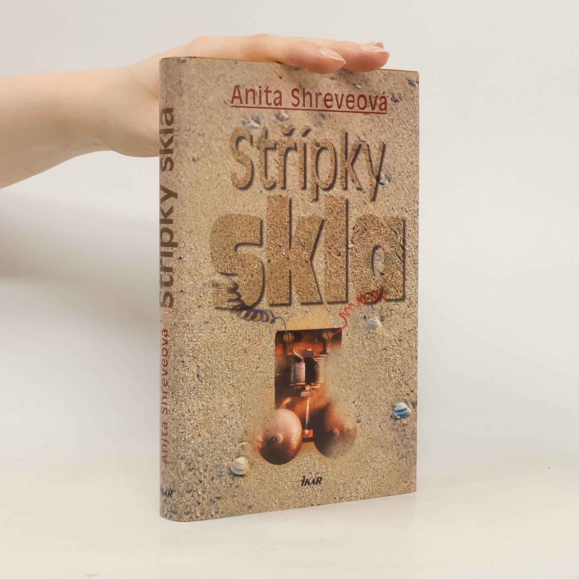 Anita Shreve Střípky skla