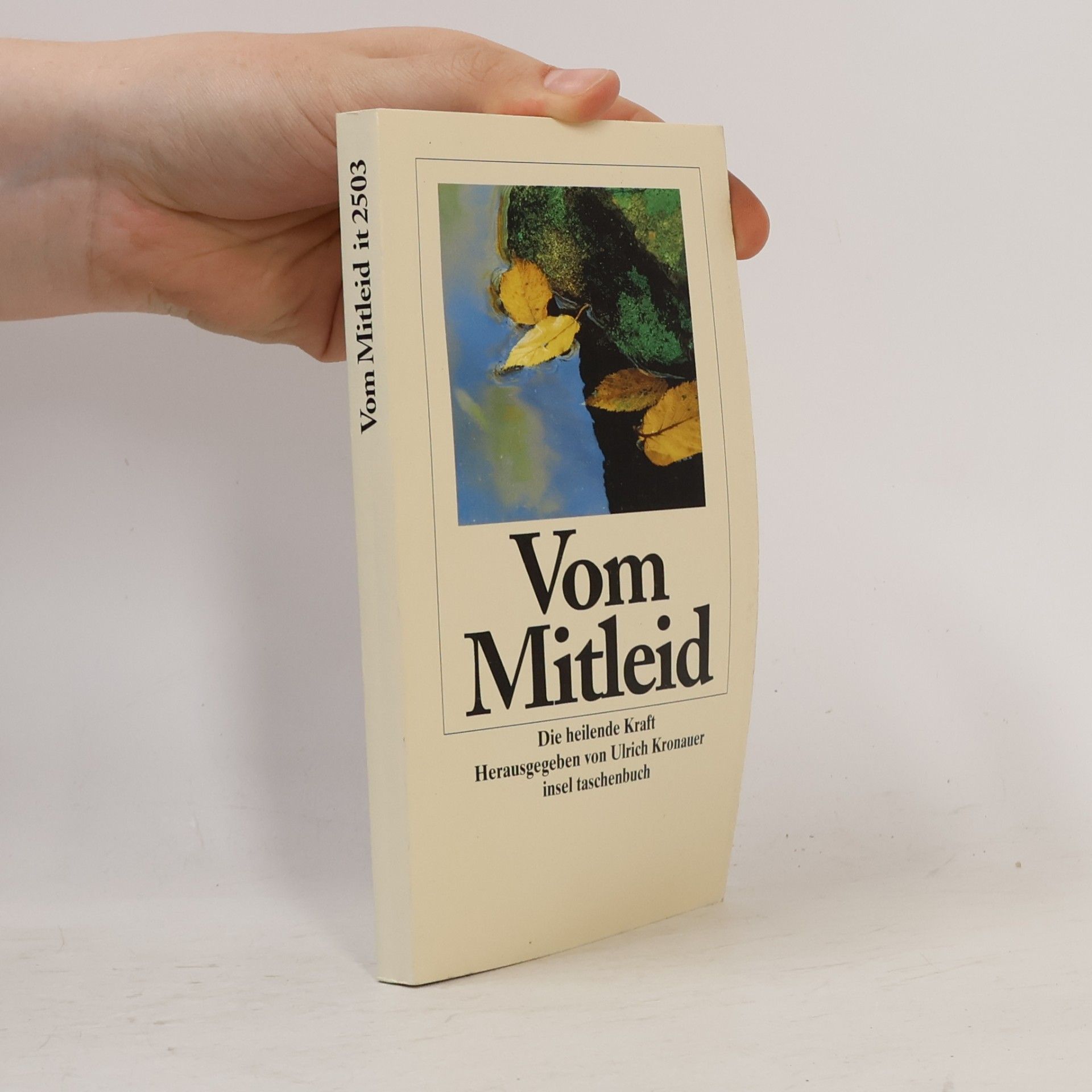 Ulrich Kronauer Vom Mitleid
