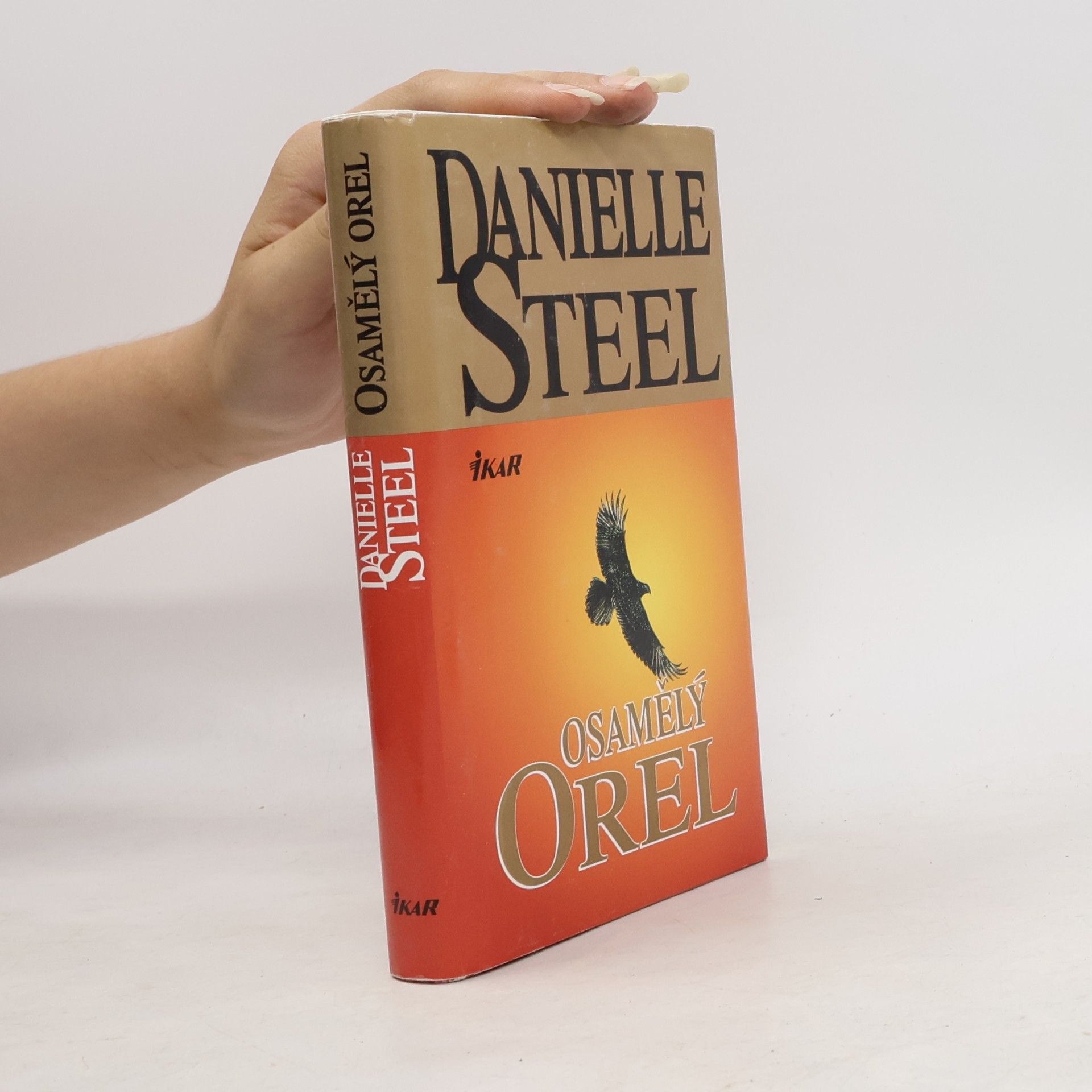 Danielle Steel Osamělý orel