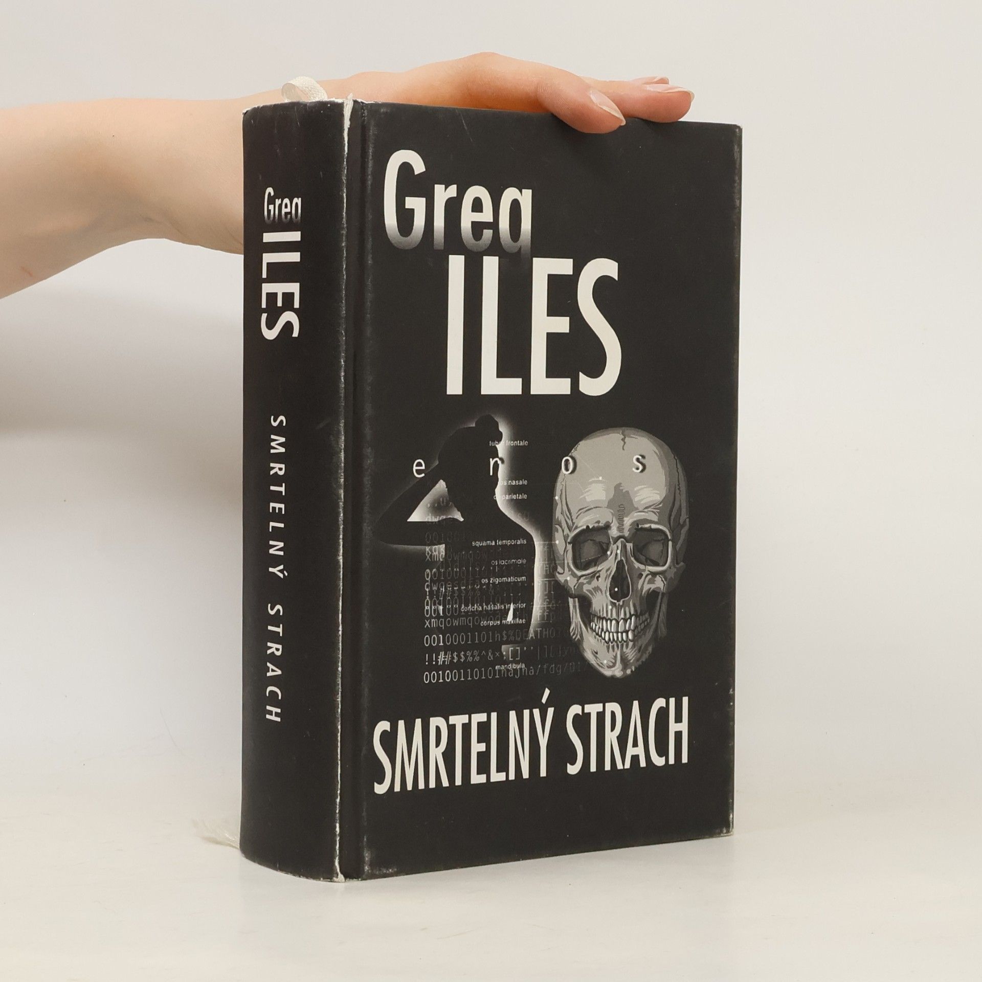 Greg Iles Smrtelný strach