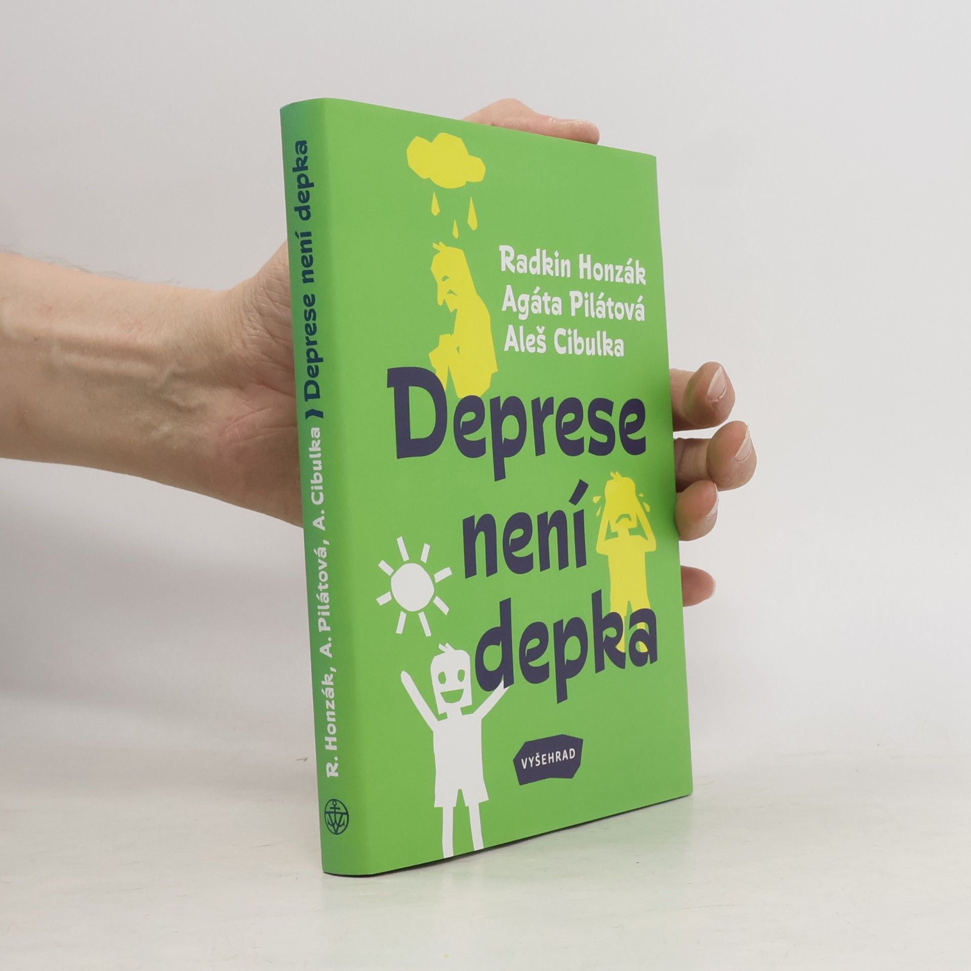 Kolektiv autorů Deprese není depka
