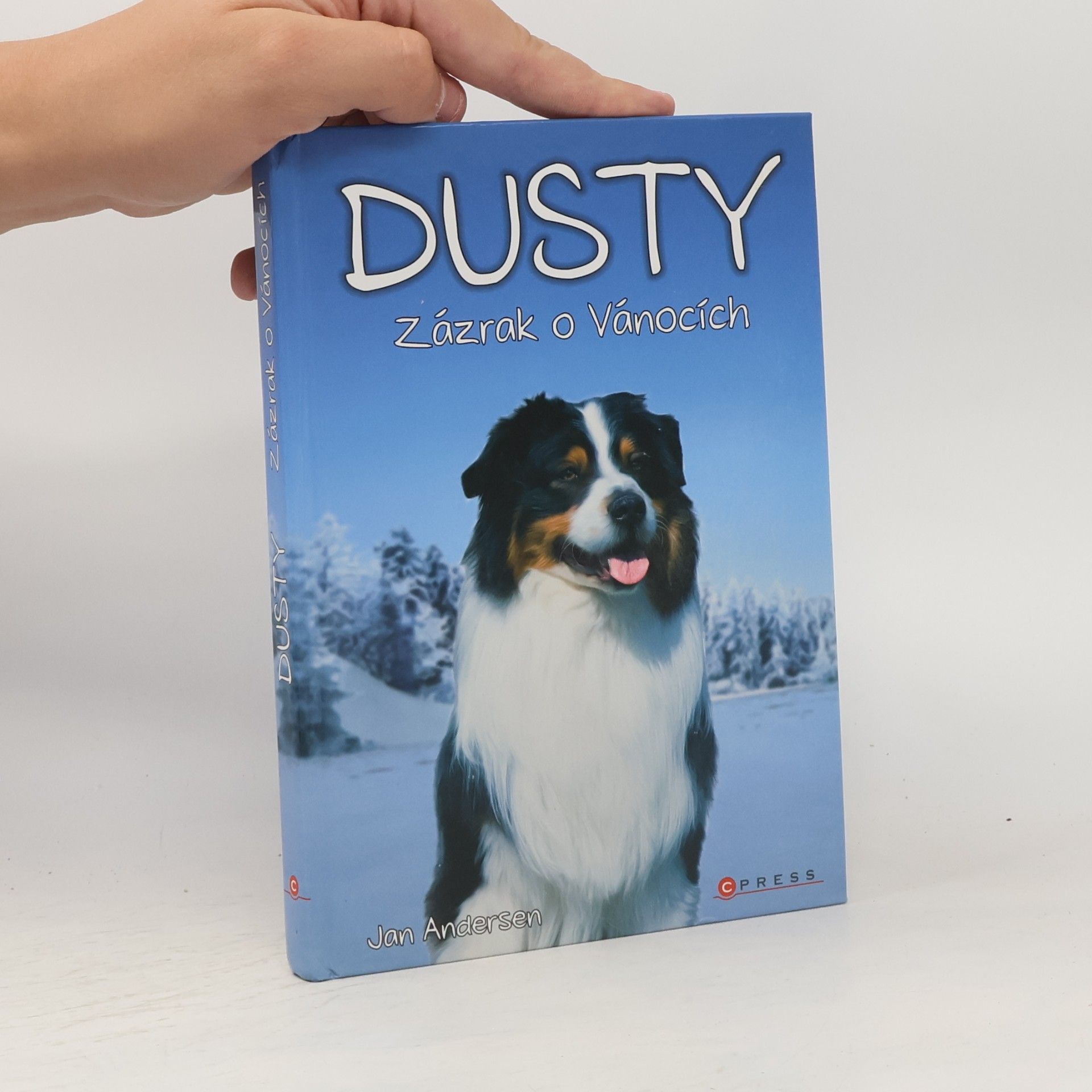 Wolfram Hänel Dusty: Zázrak o Vánocích