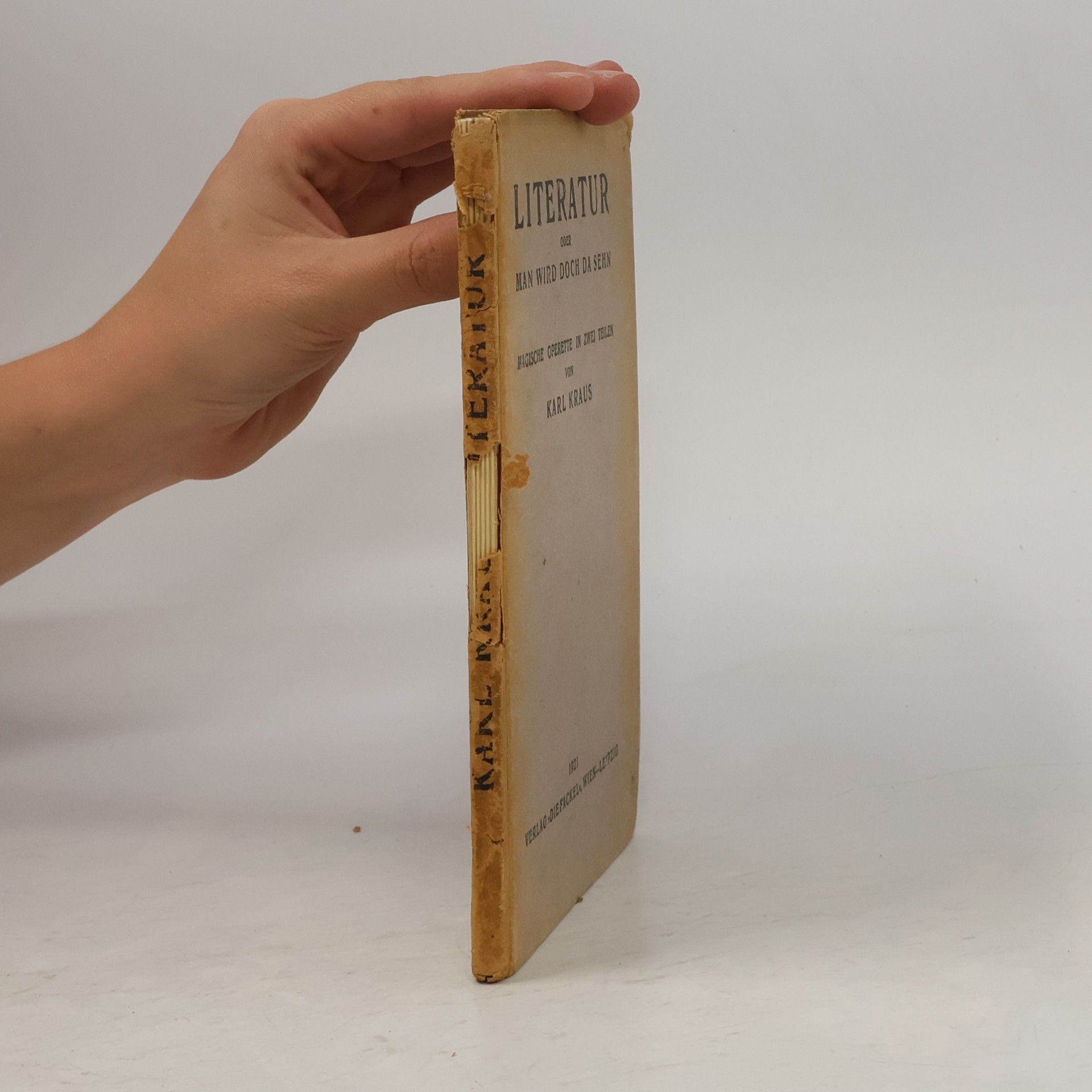 Karl Kraus Literatur
