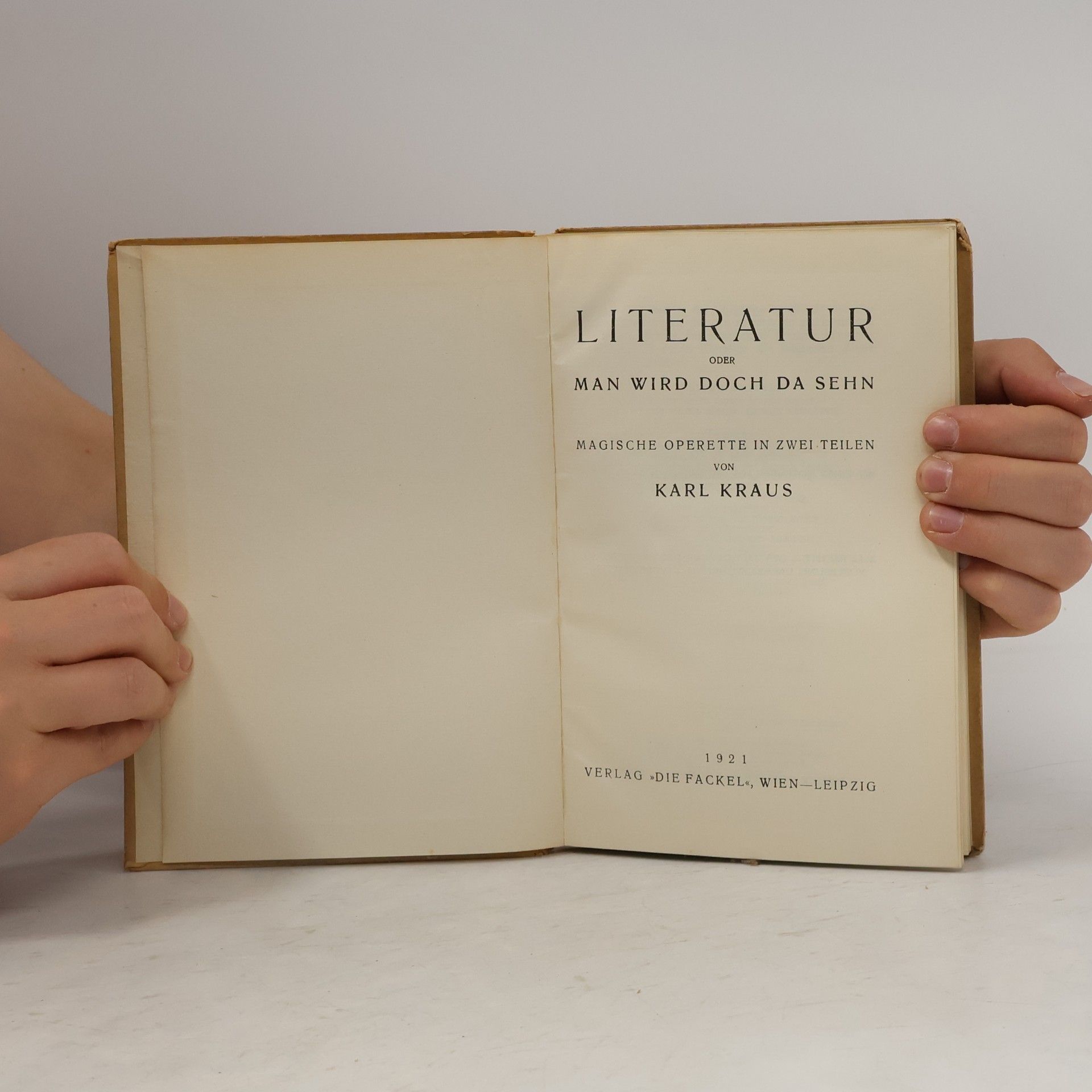 Karl Kraus Literatur