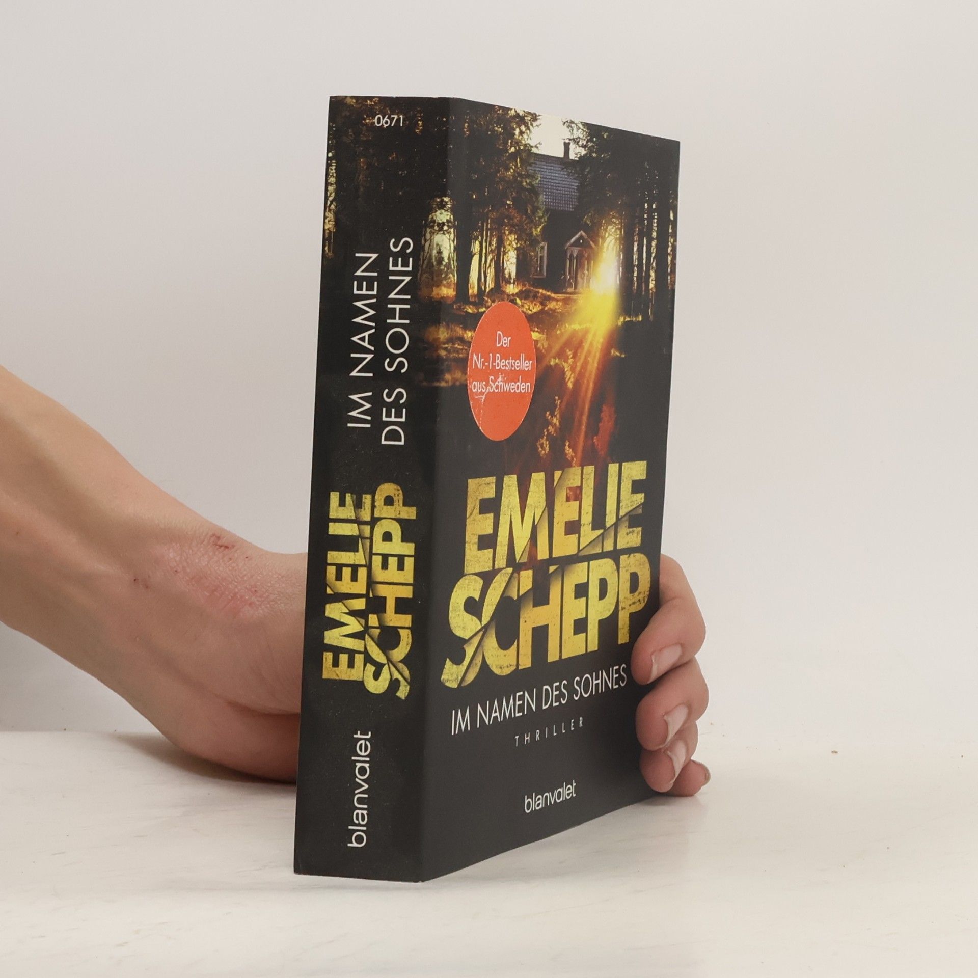 Emelie Schepp Im Namen des Sohnes