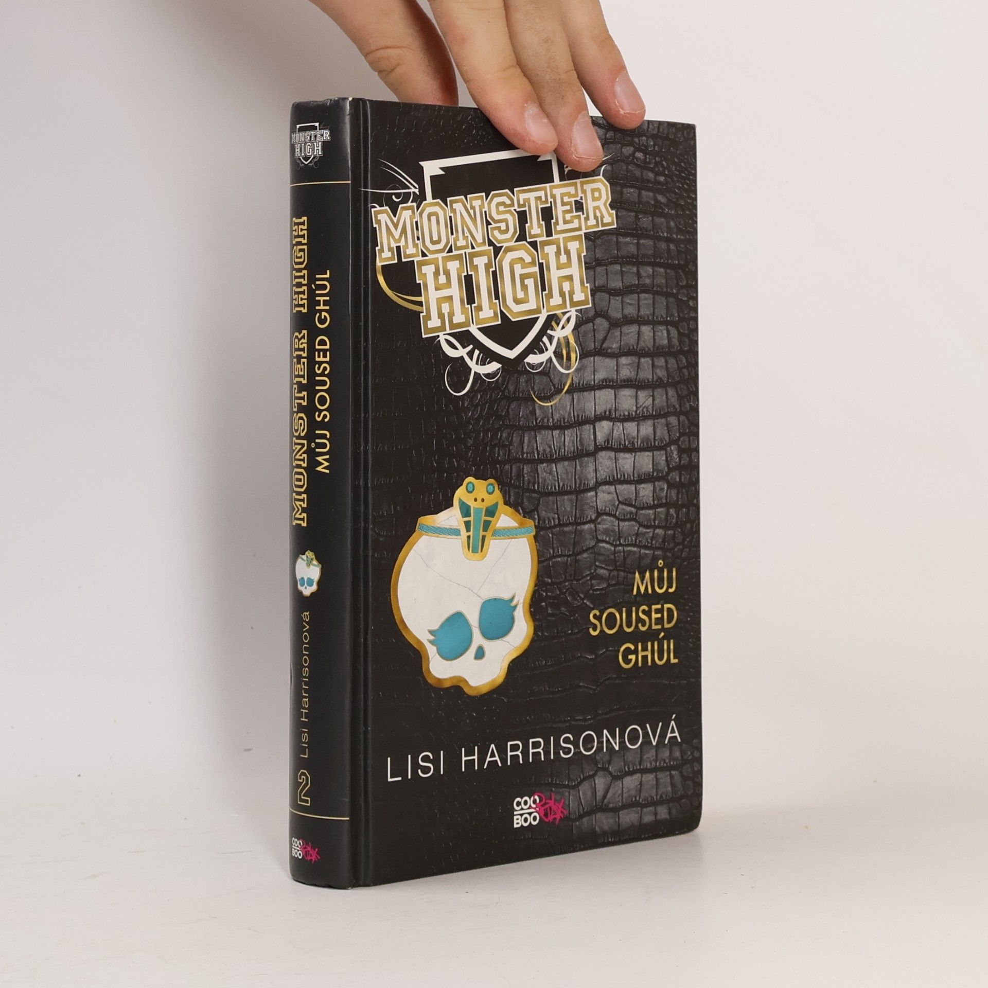 Lisi Harrison Můj soused Ghúl. Monster High 2