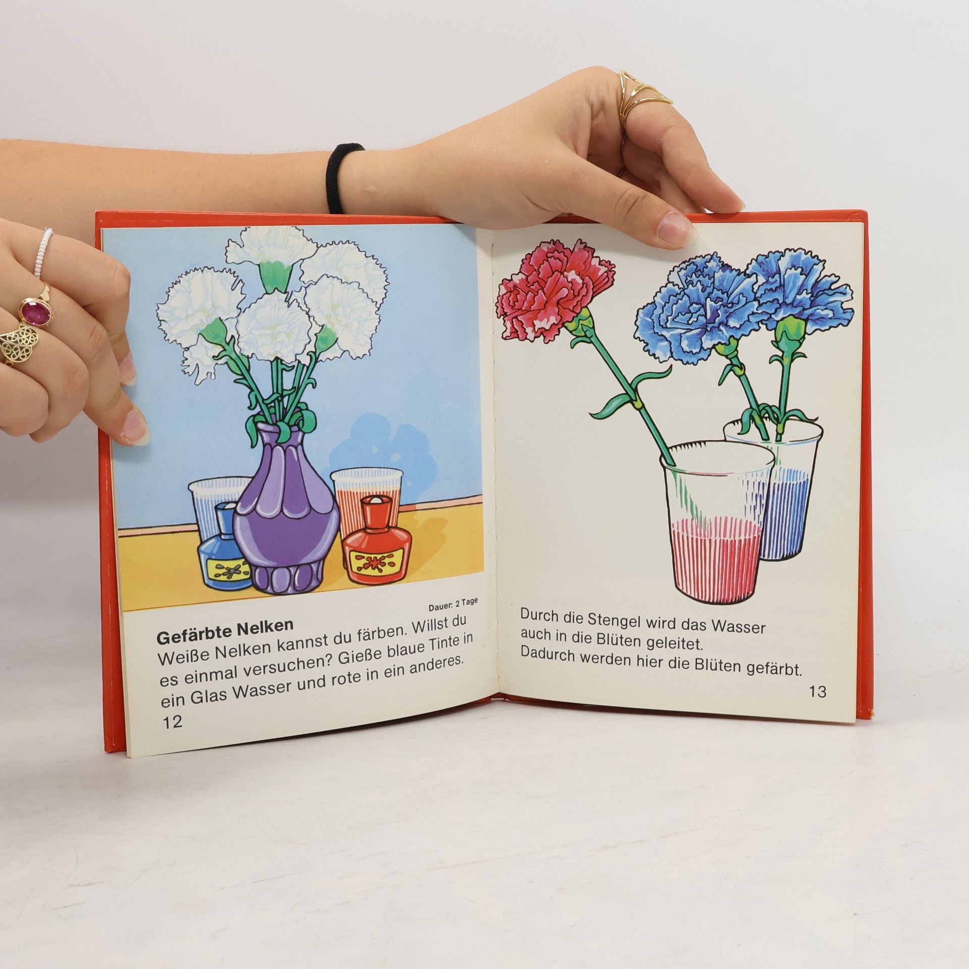 Autorenkollektiv Mein Zimmergarten 1