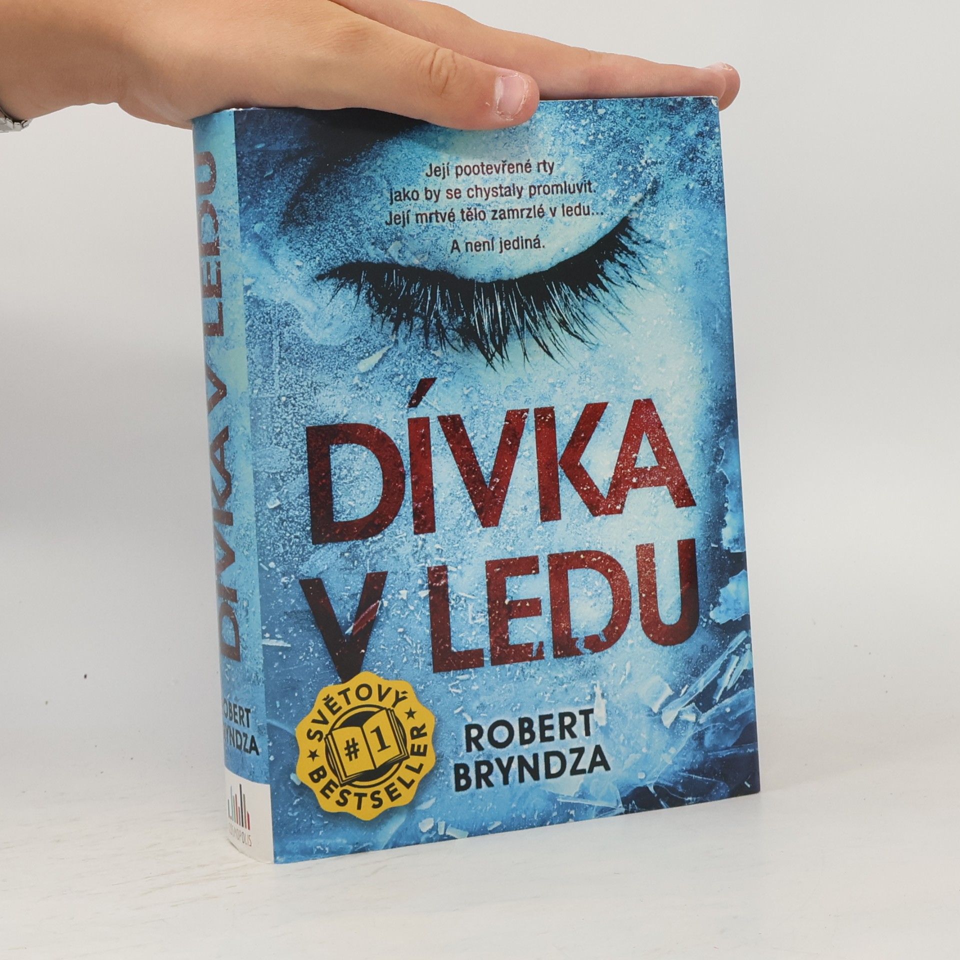 Robert Bryndza Dívka v ledu