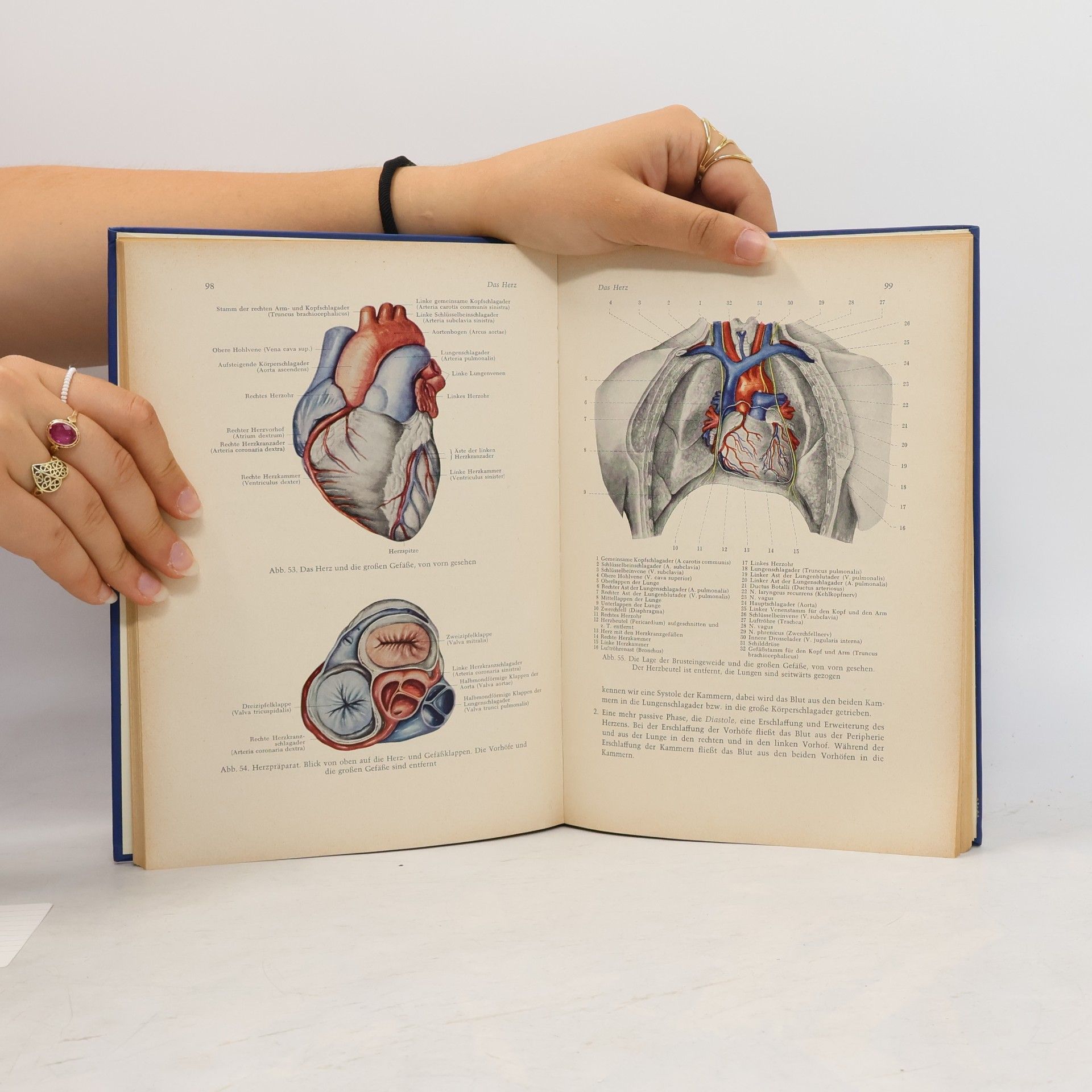 Joseph Bücker Anatomie und Physiologie