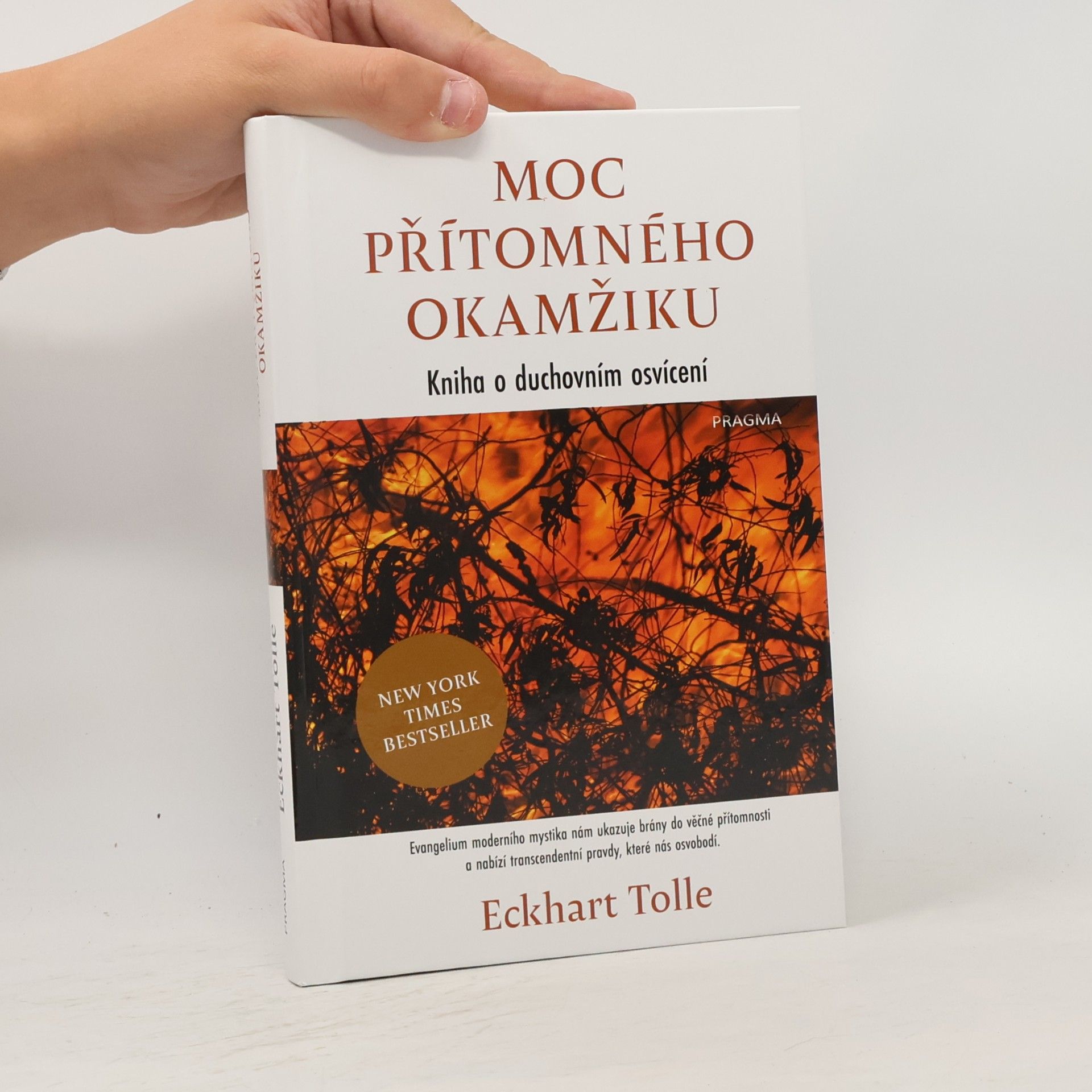Eckhart Tolle Moc přítomného okamžiku
