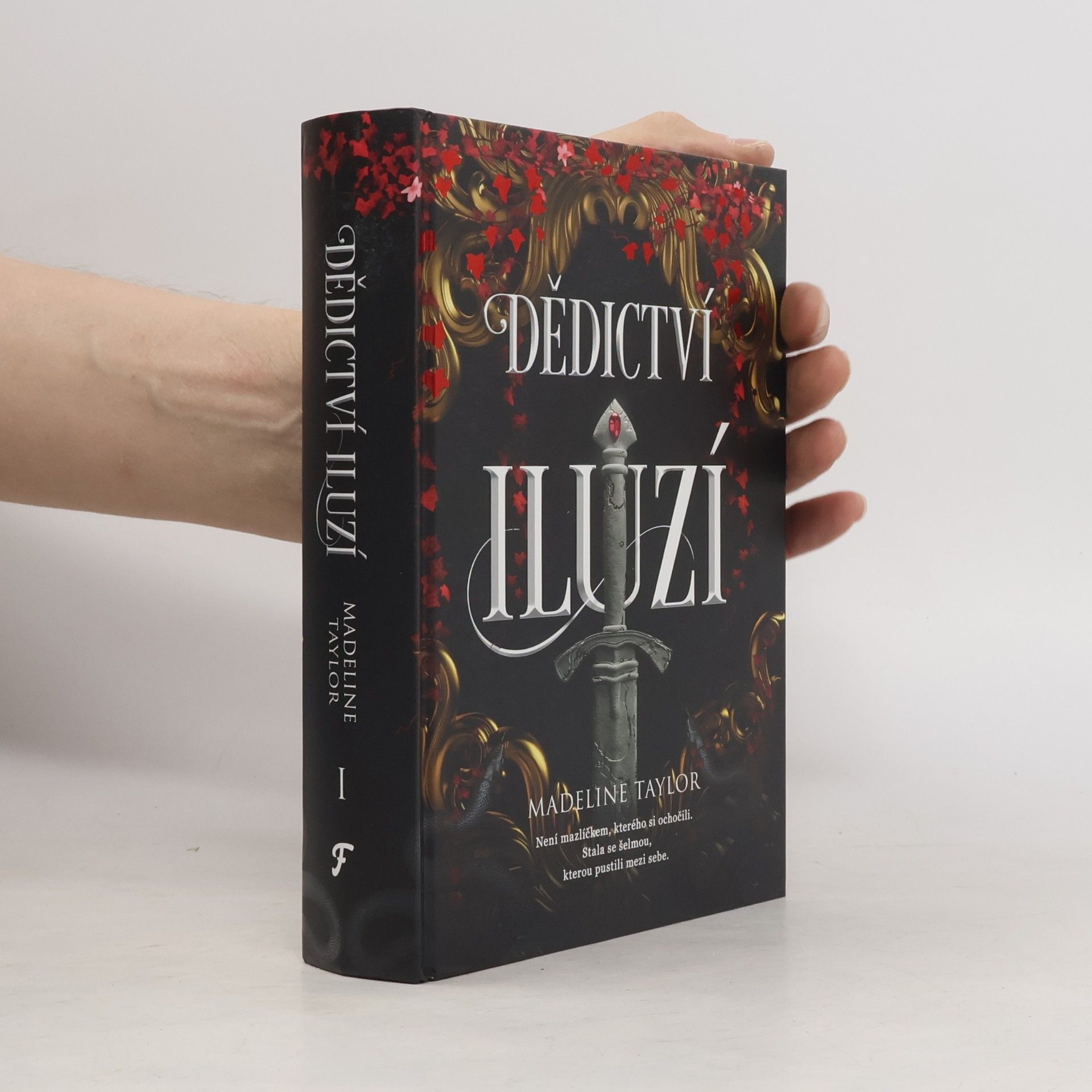 Dědictví iluzí I