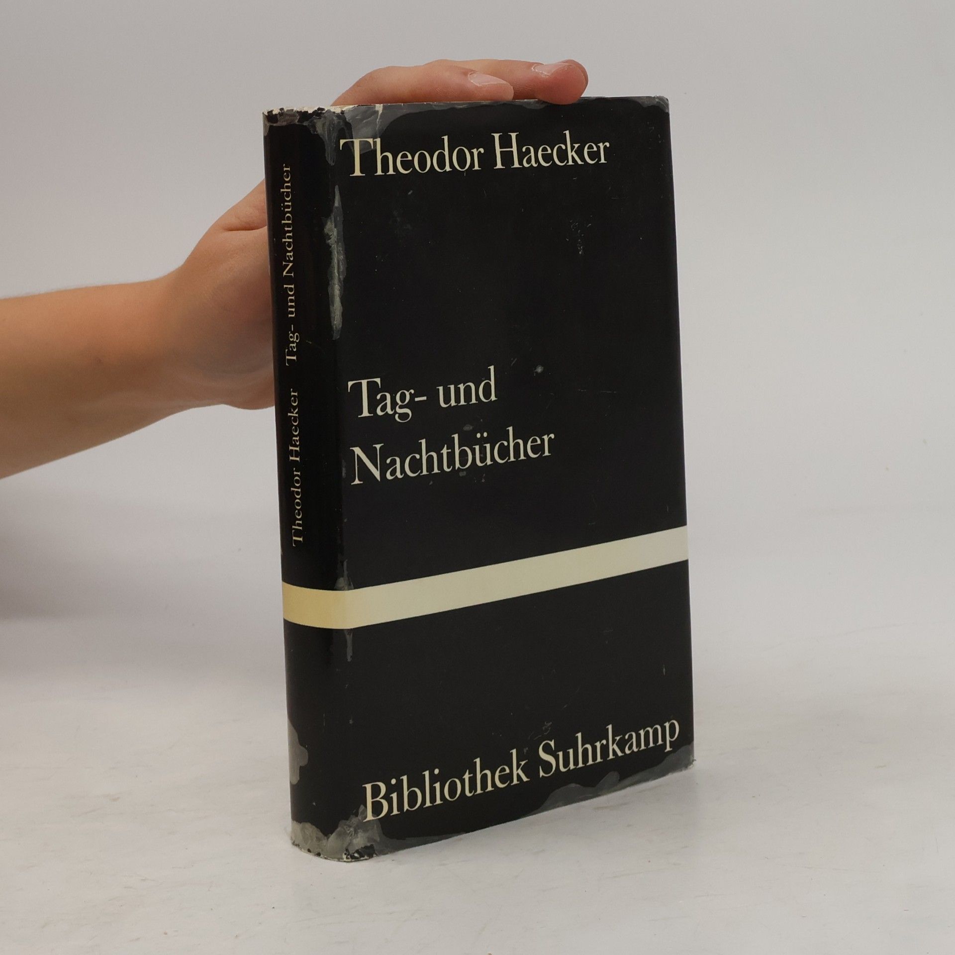 Theodor Haecker Tag- und Nachtbücher