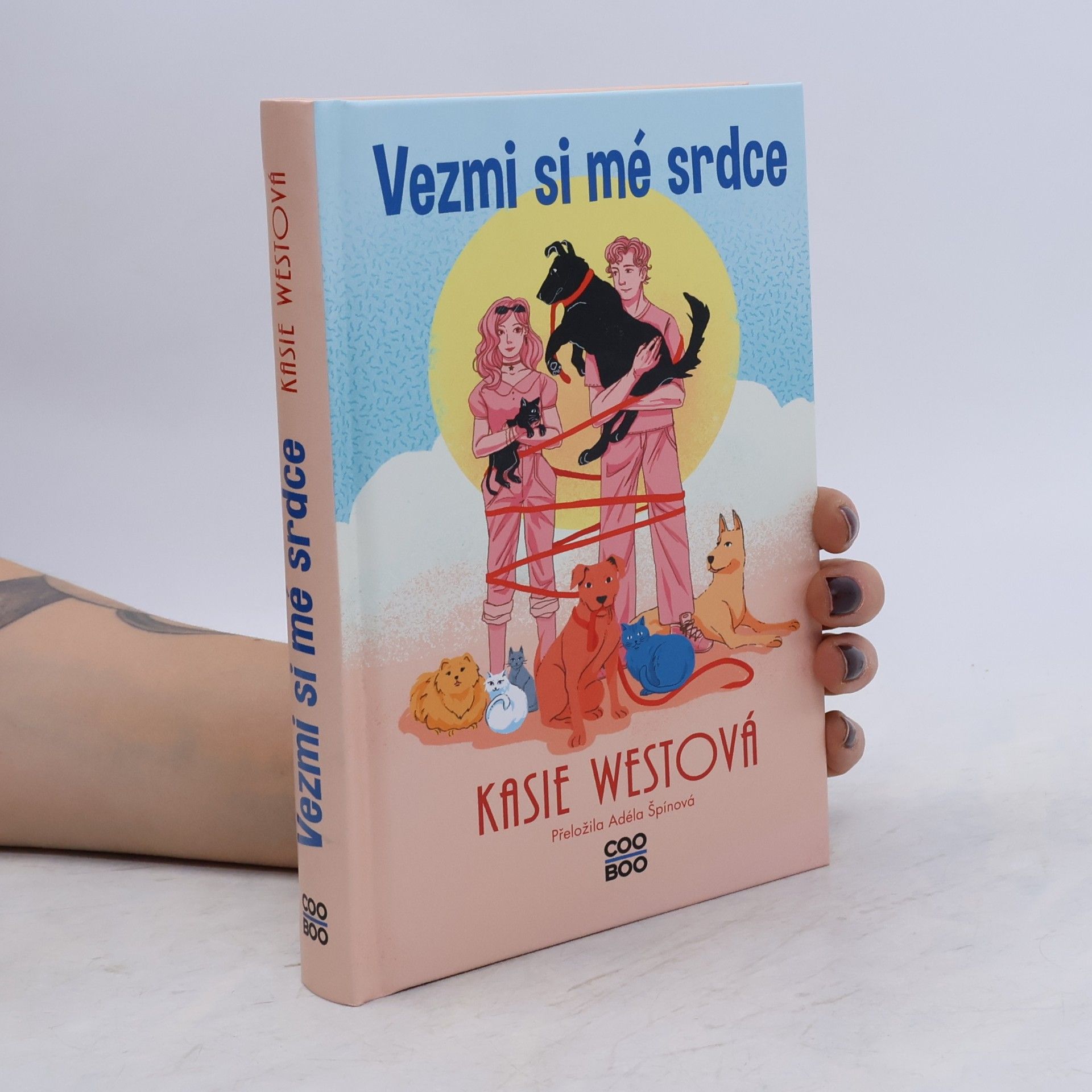 Kasie West Vezmi si mé srdce