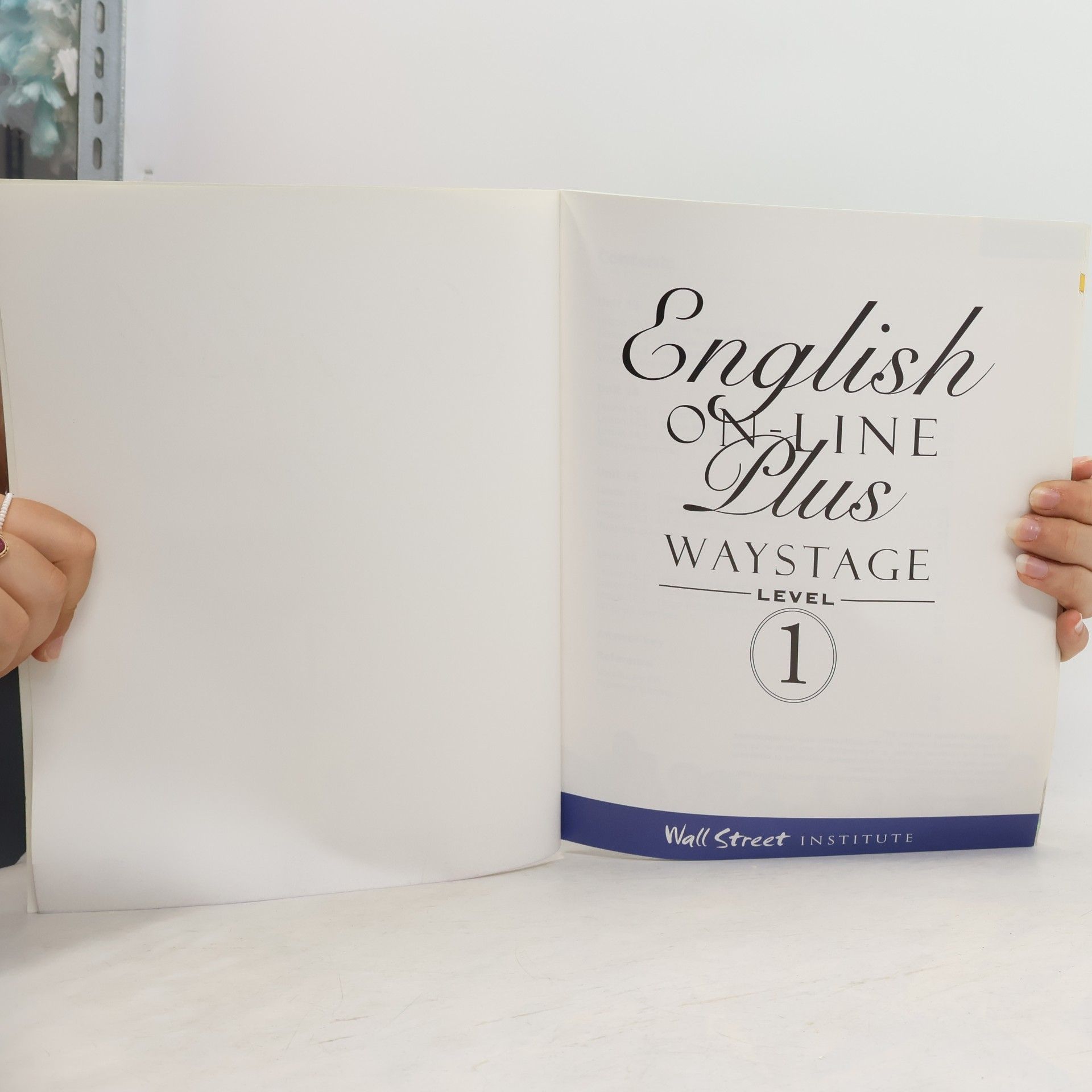 Autorenkollektiv English Online Plus Waystage. Level 1