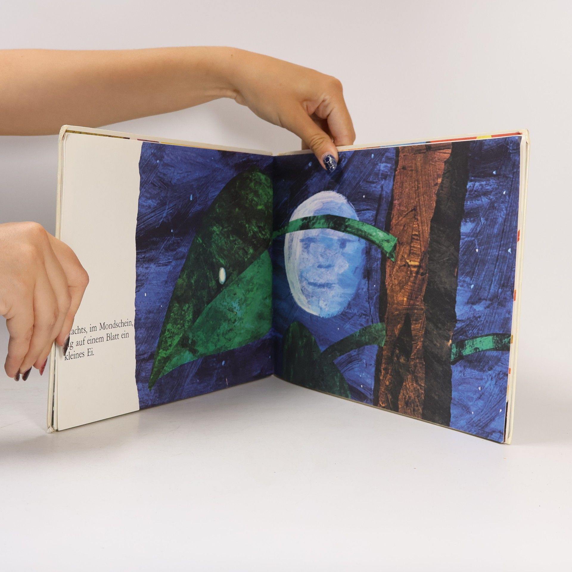 Eric Carle Die kleine Raupe Nimmersatt