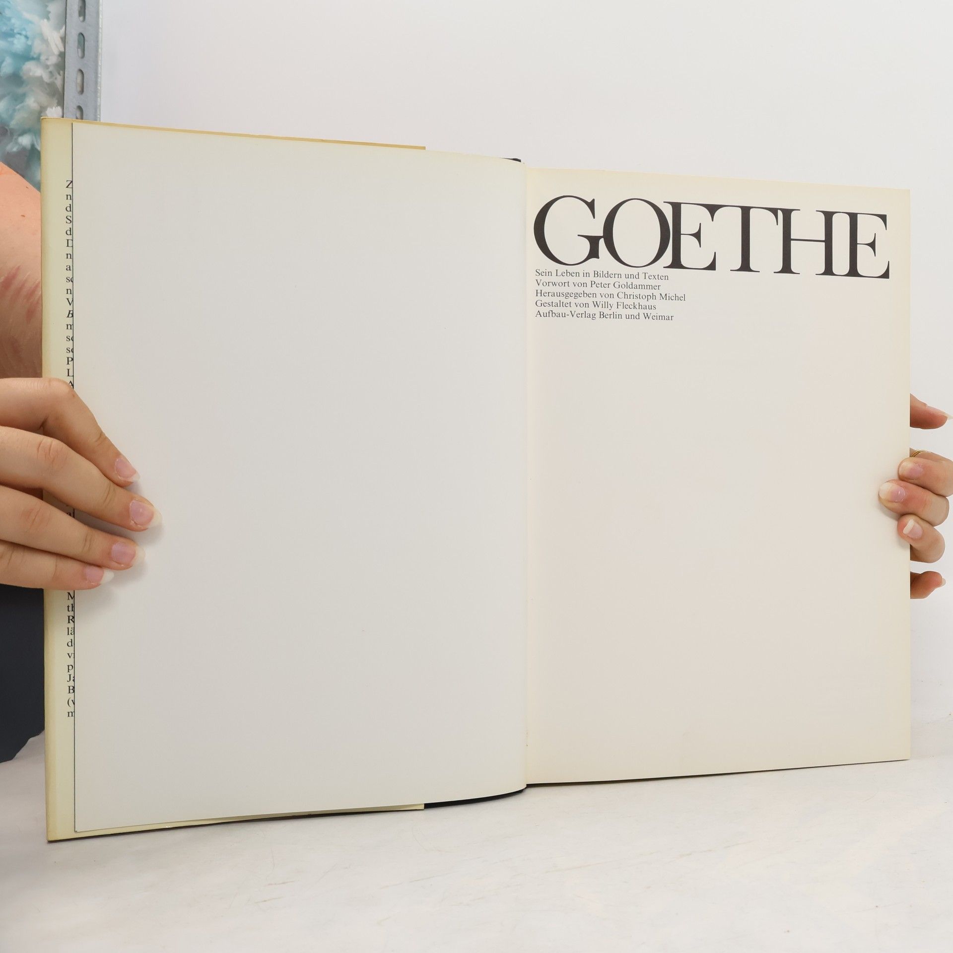 Kolektiv autorů Goethe: Sein Leben in Bildern und Texten