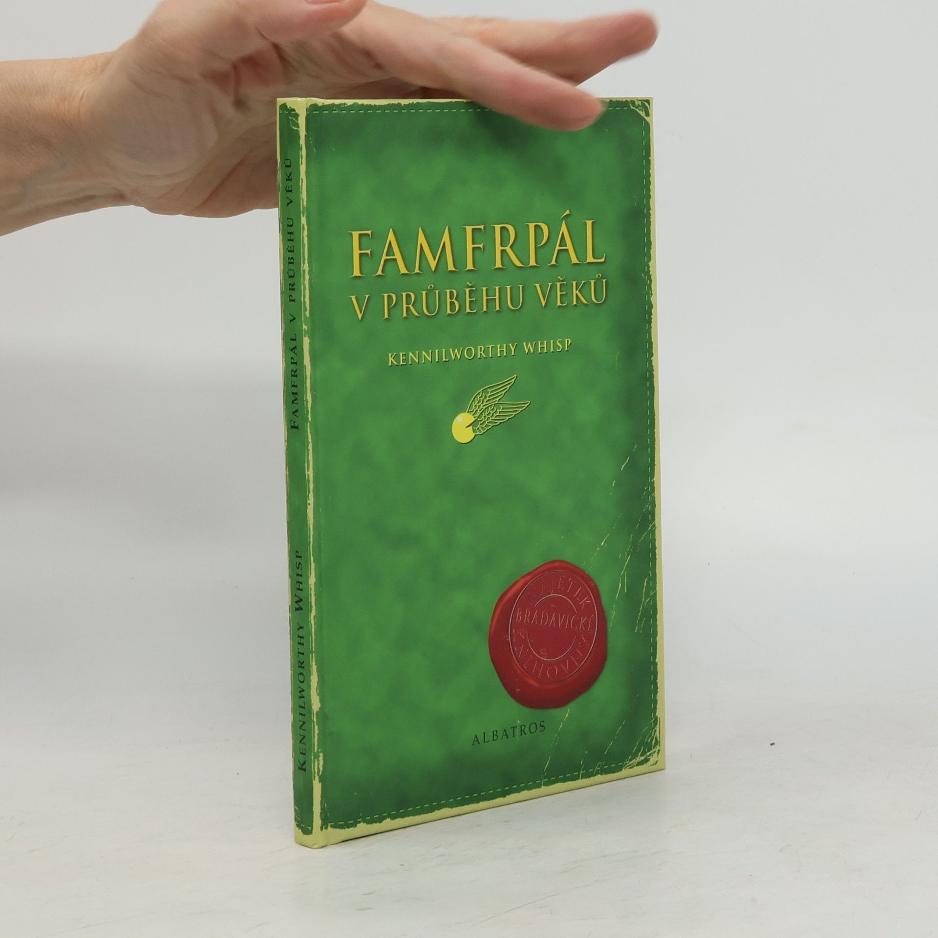 Famfrpál v průběhu věků
