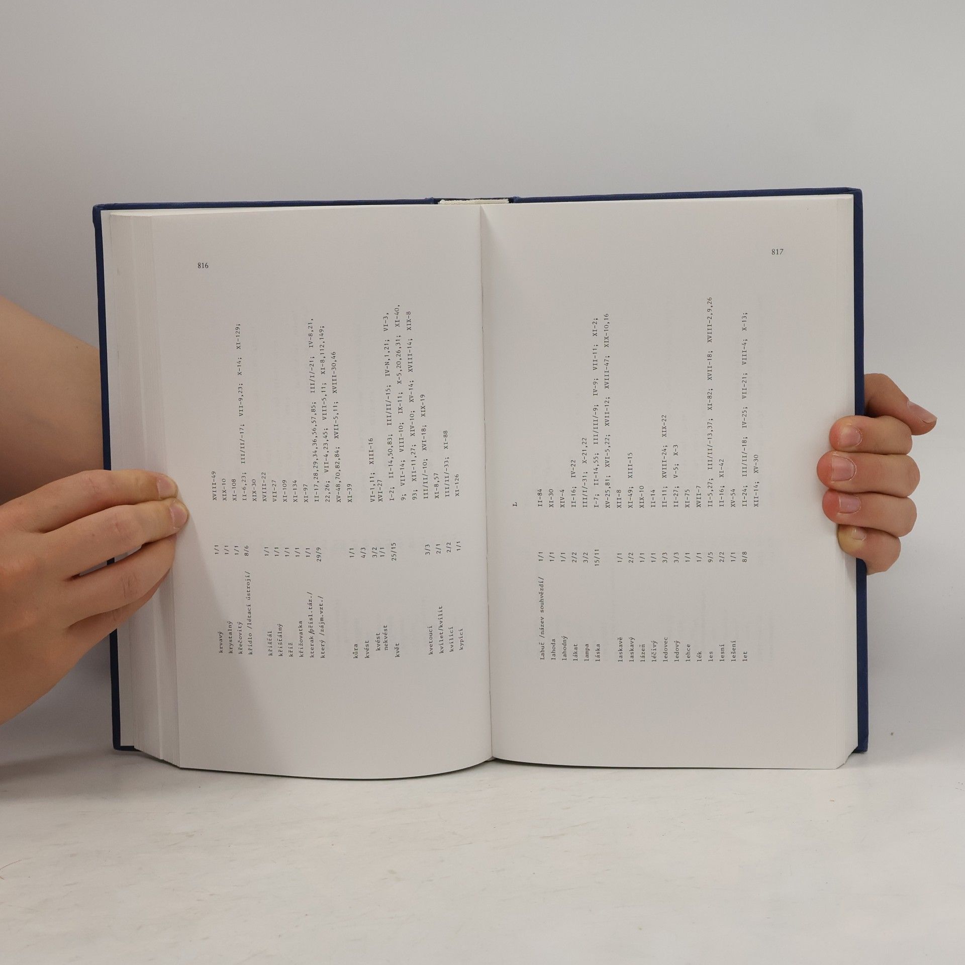 Petr Holman Bausteine zur Slavischen Philologie und Kulturgeschichte - 1: Frequenzwörterbuch zum lyrischen Werk von Otokar Březina