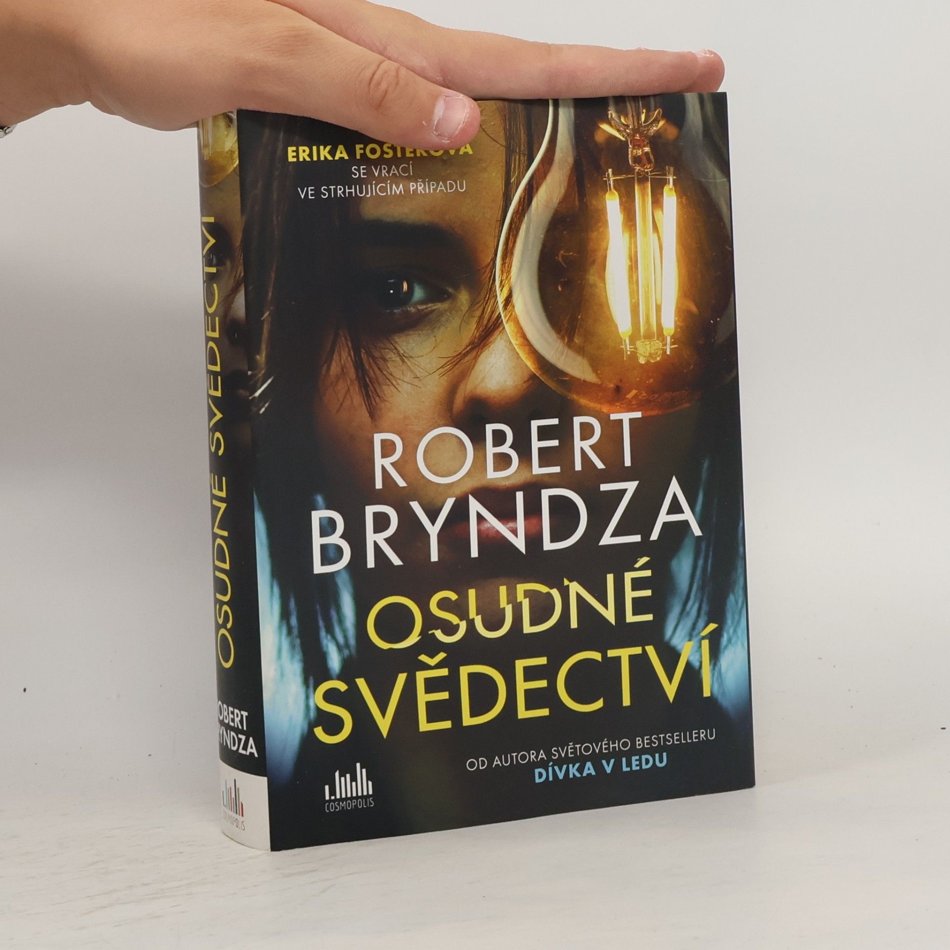 Robert Bryndza Osudné svědectví