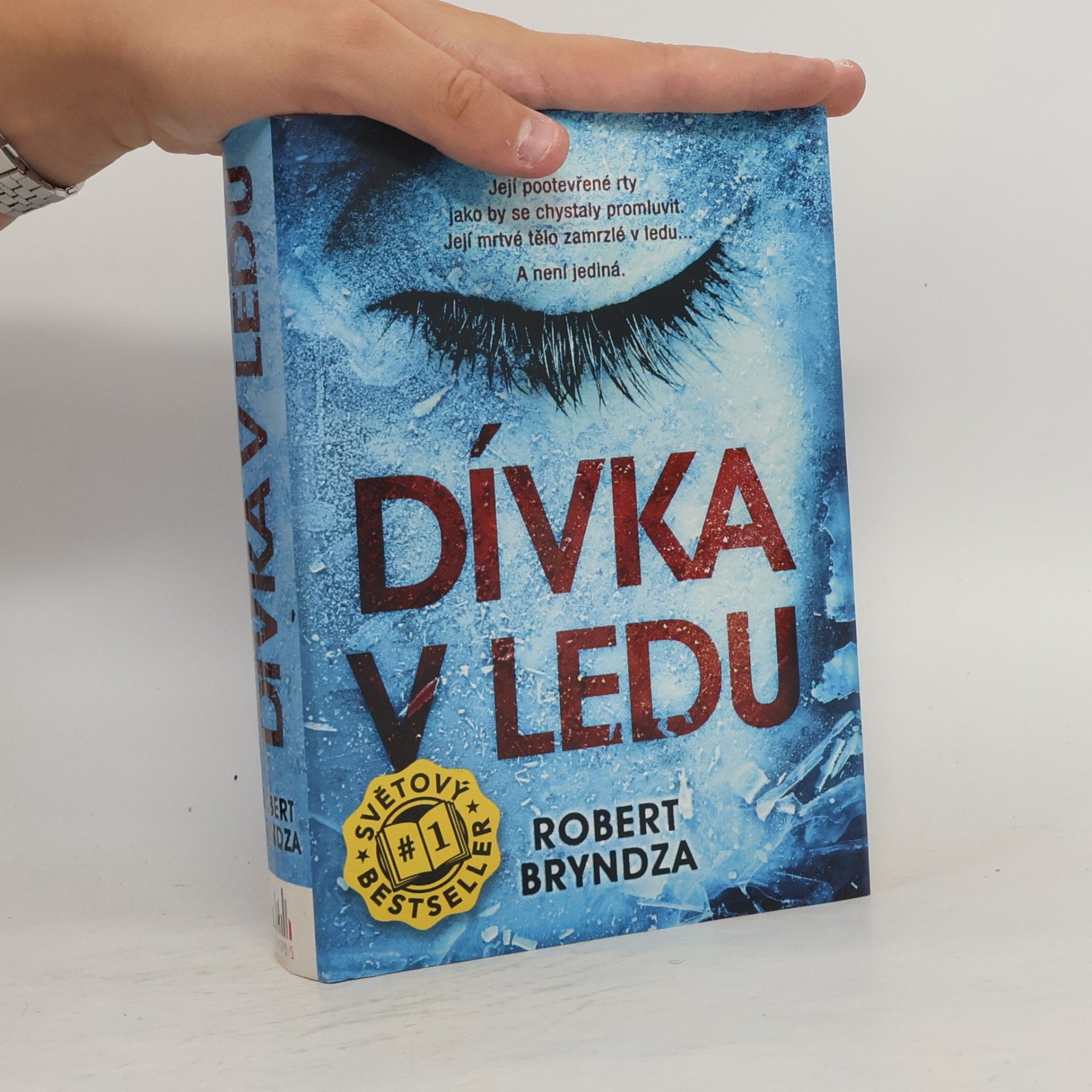 Robert Bryndza Dívka v ledu