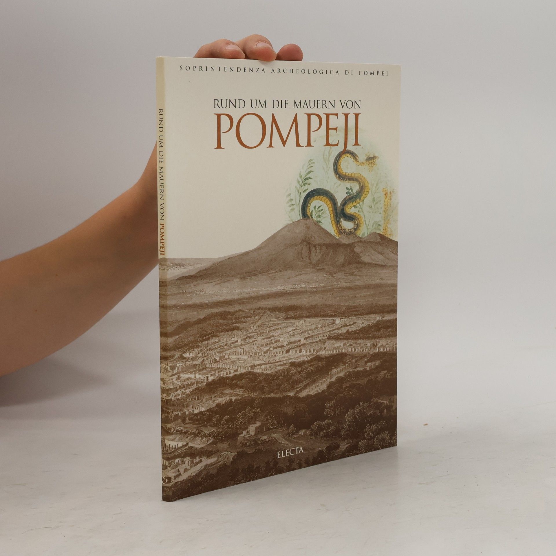 Autorenkollektiv Rund um die Mauern von Pompeji