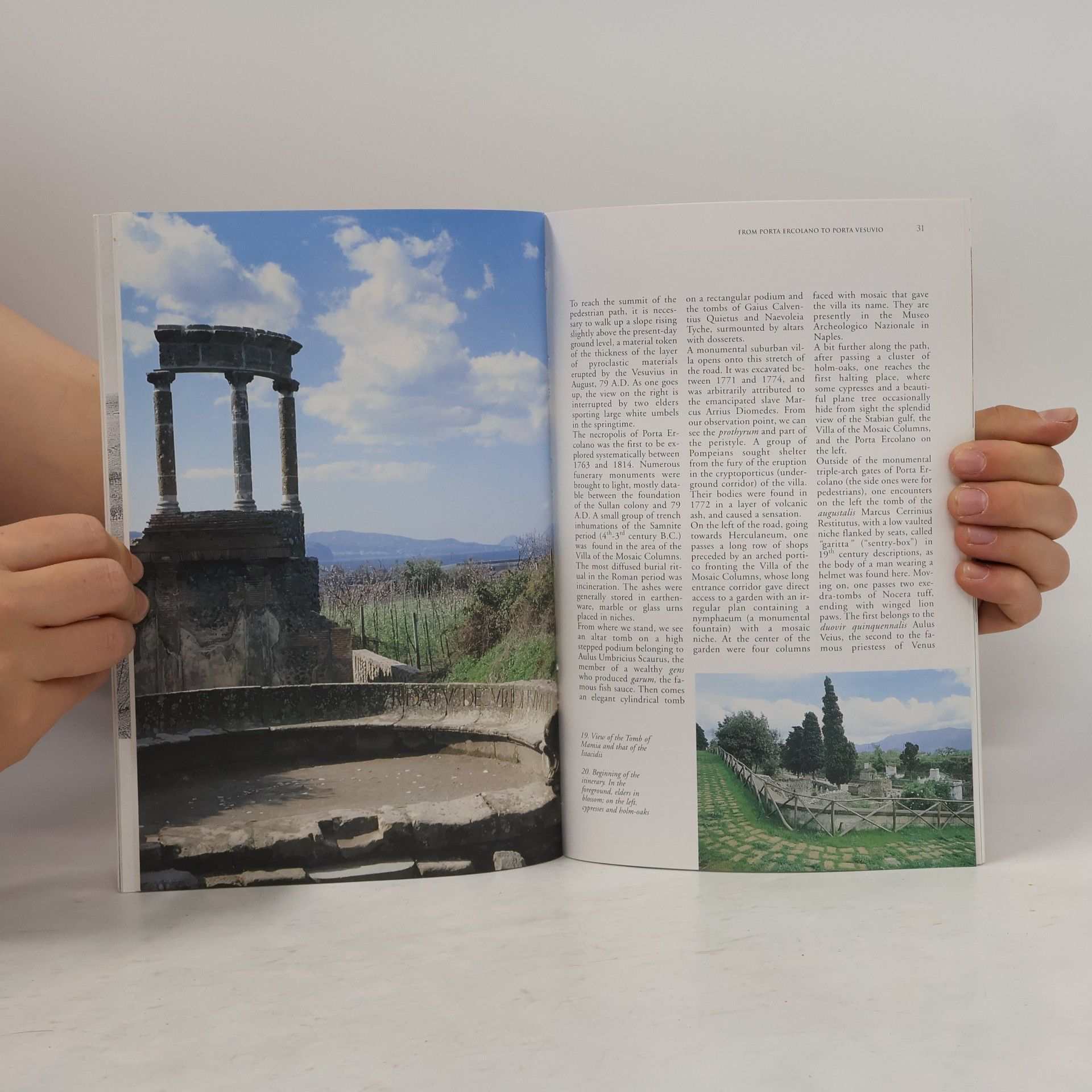 Annamaria Ciarallo Around the Walls of Pompeii