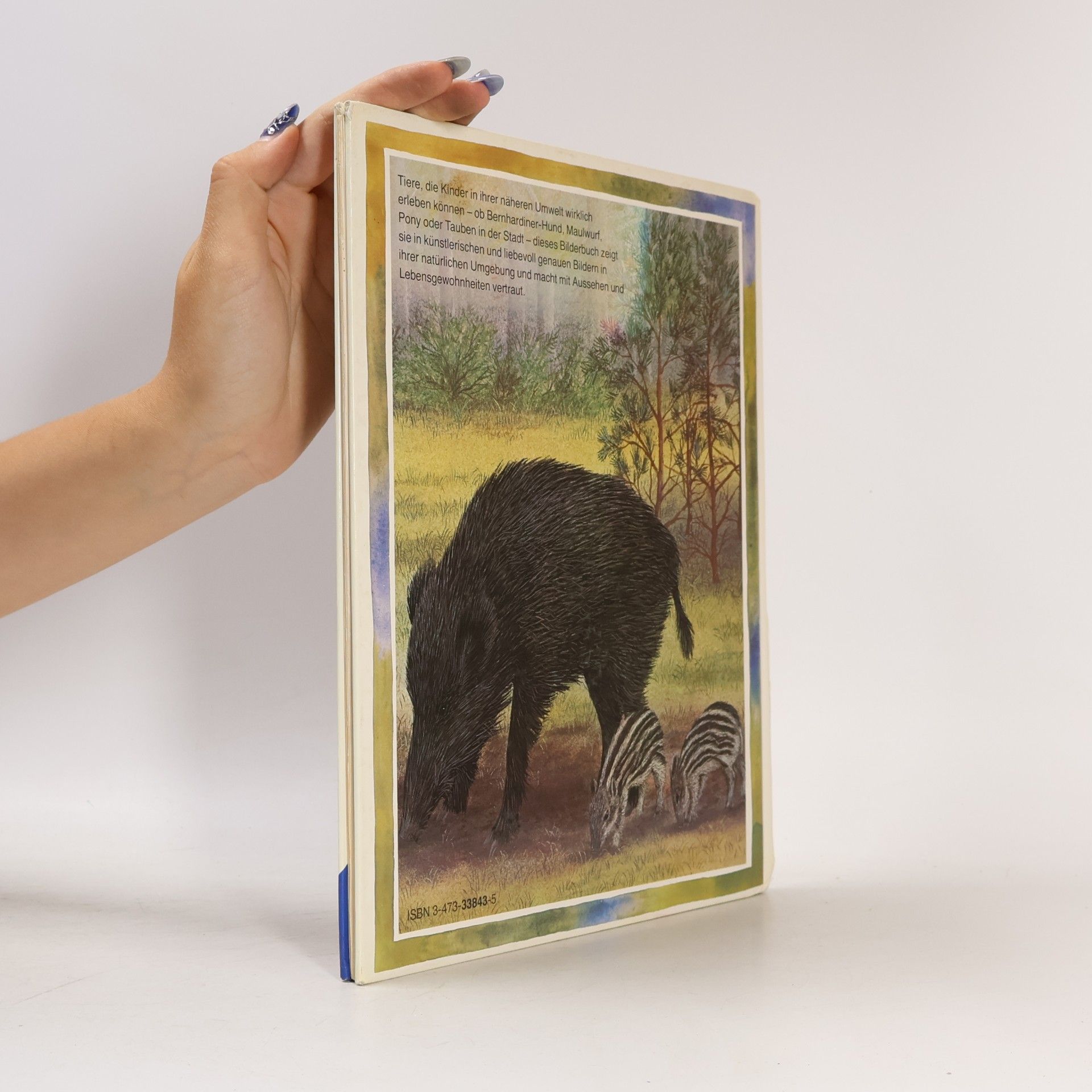 Amrei Fechner Tiere bei uns