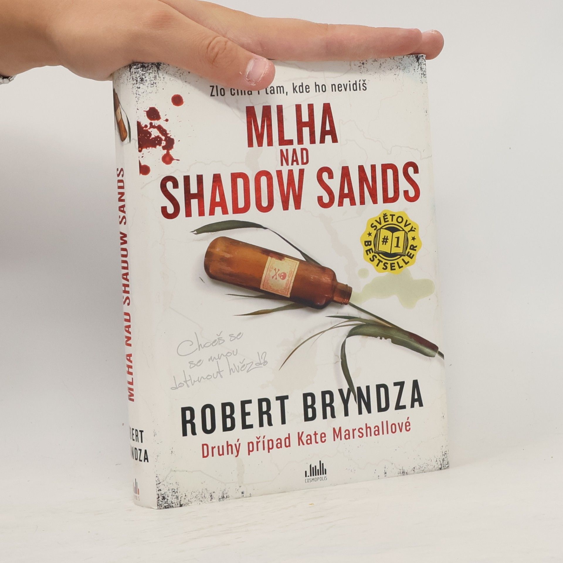 Robert Bryndza Mlha nad Shadow Sands