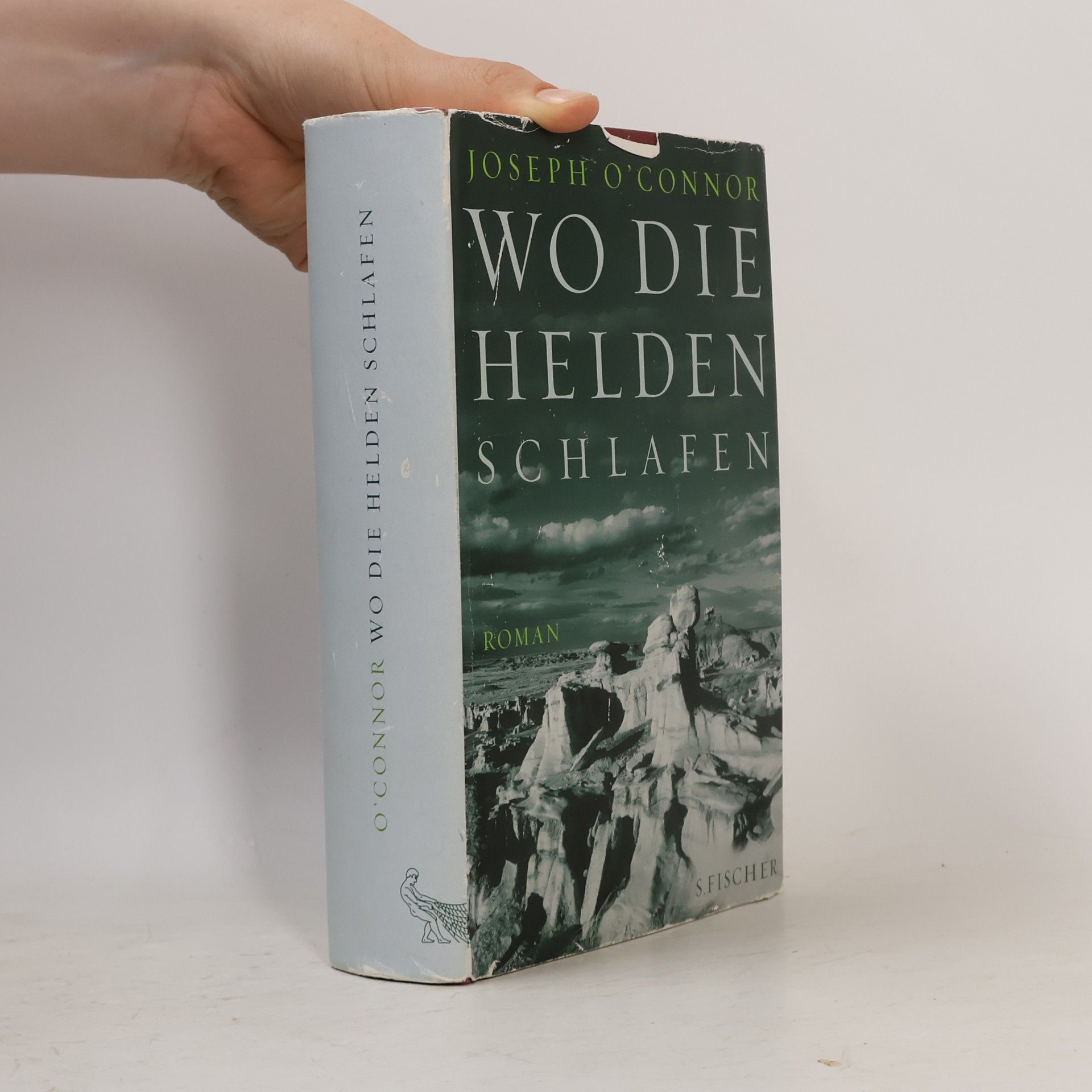 Joseph O'Connor Wo die Helden schlafen