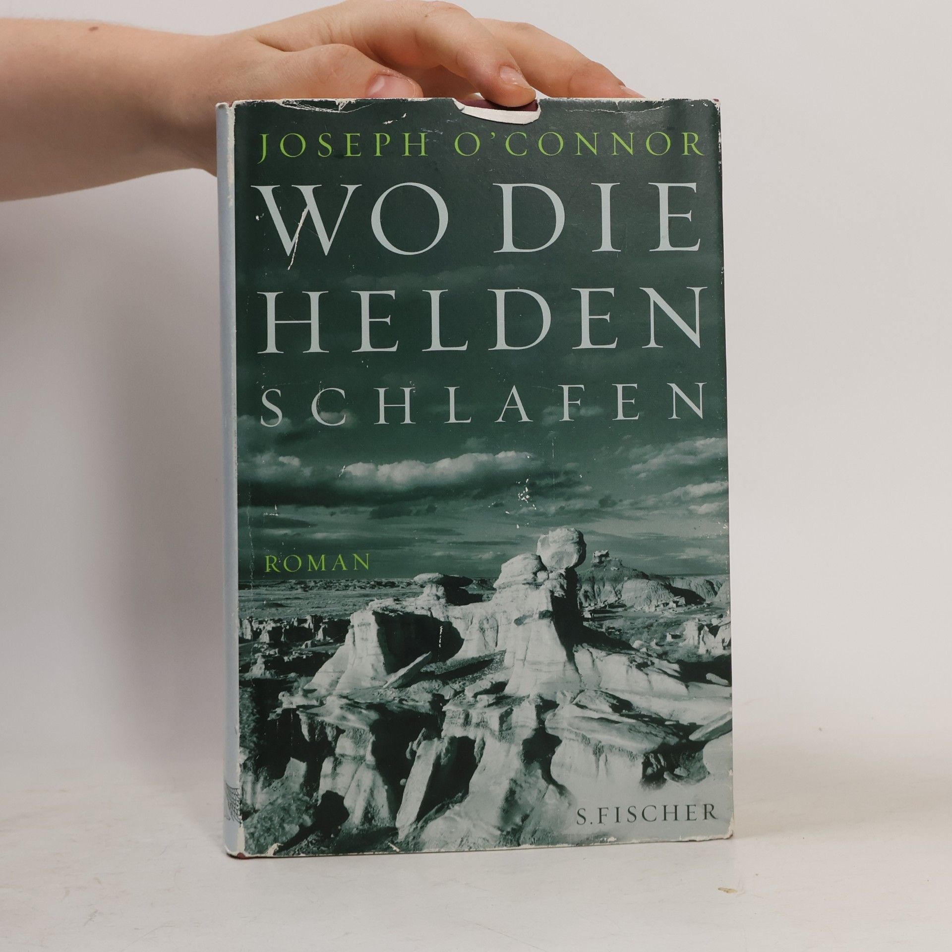 Joseph O'Connor Wo die Helden schlafen