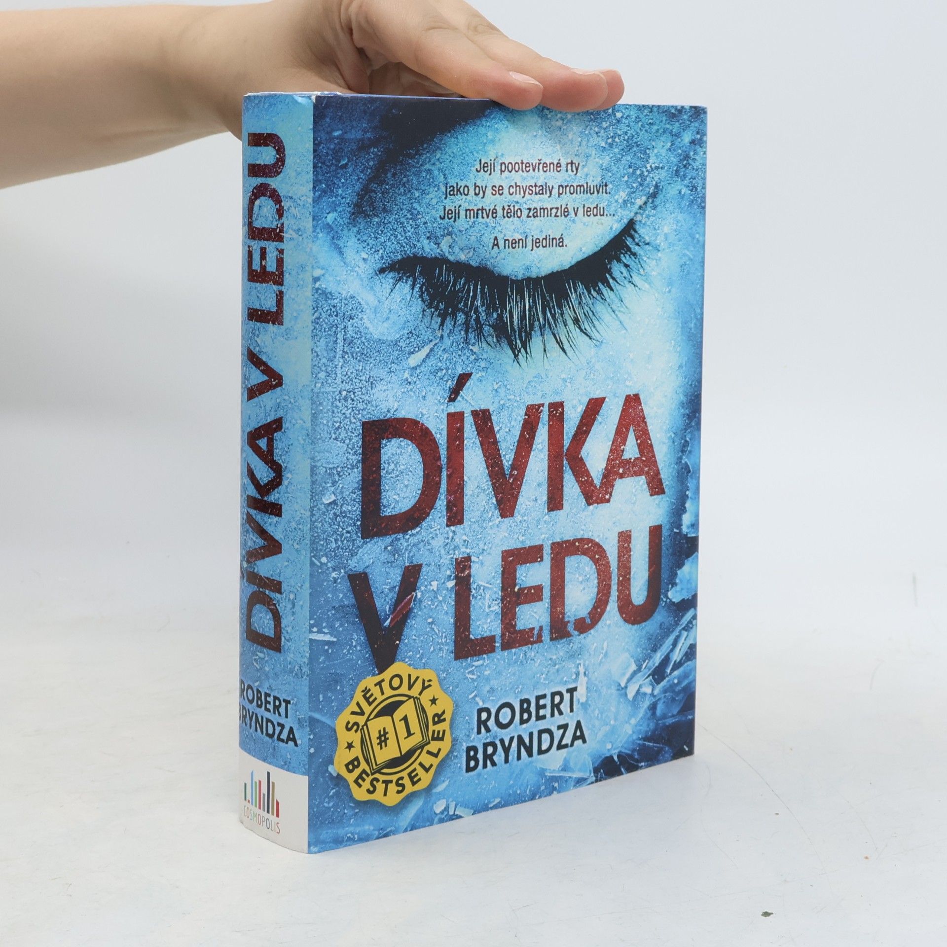 Robert Bryndza Dívka v ledu