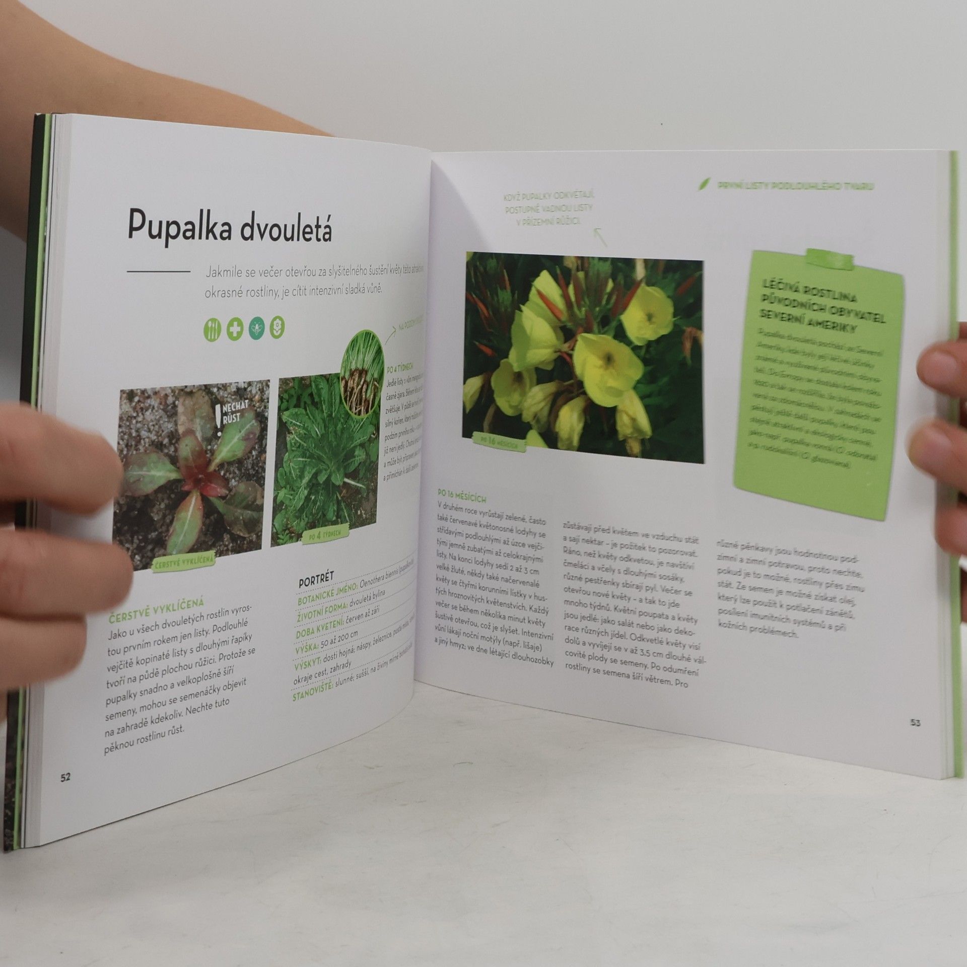 Bärbel Oftring Žádoucí a nežádoucí rostliny na zahradě - Jak je rozpoznat a co s nimi