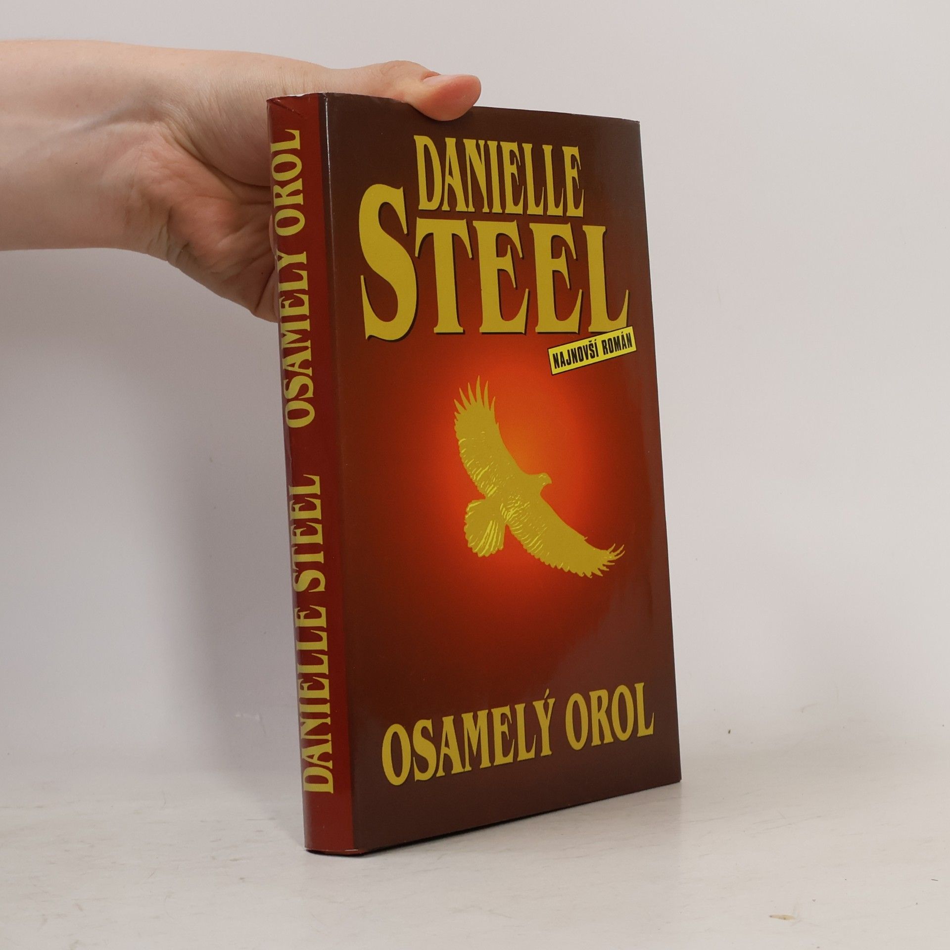 Danielle Steel Osamelý orol