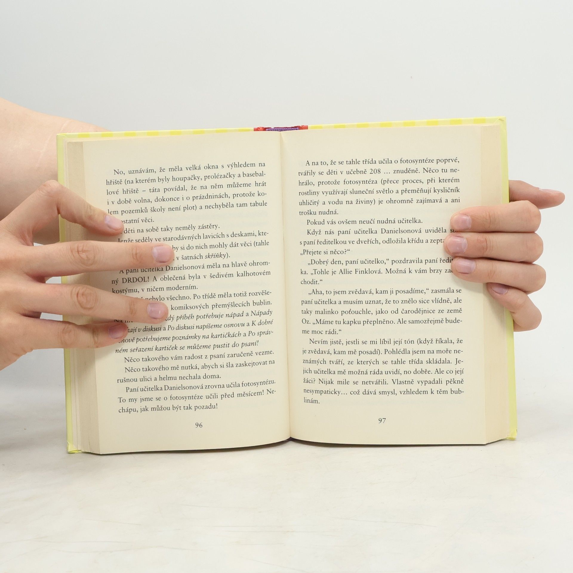 Meg Cabot Allie Finklová. Holčičí pravidla 1