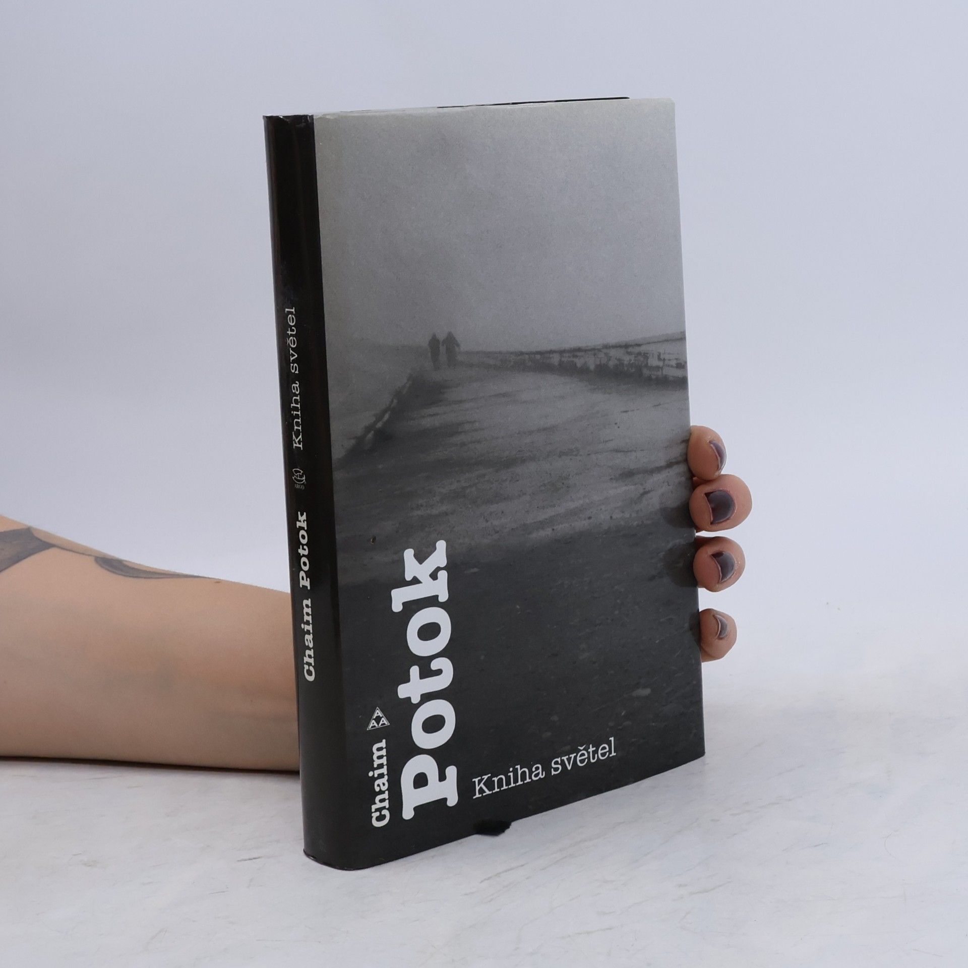 Chaim Potok Kniha světel