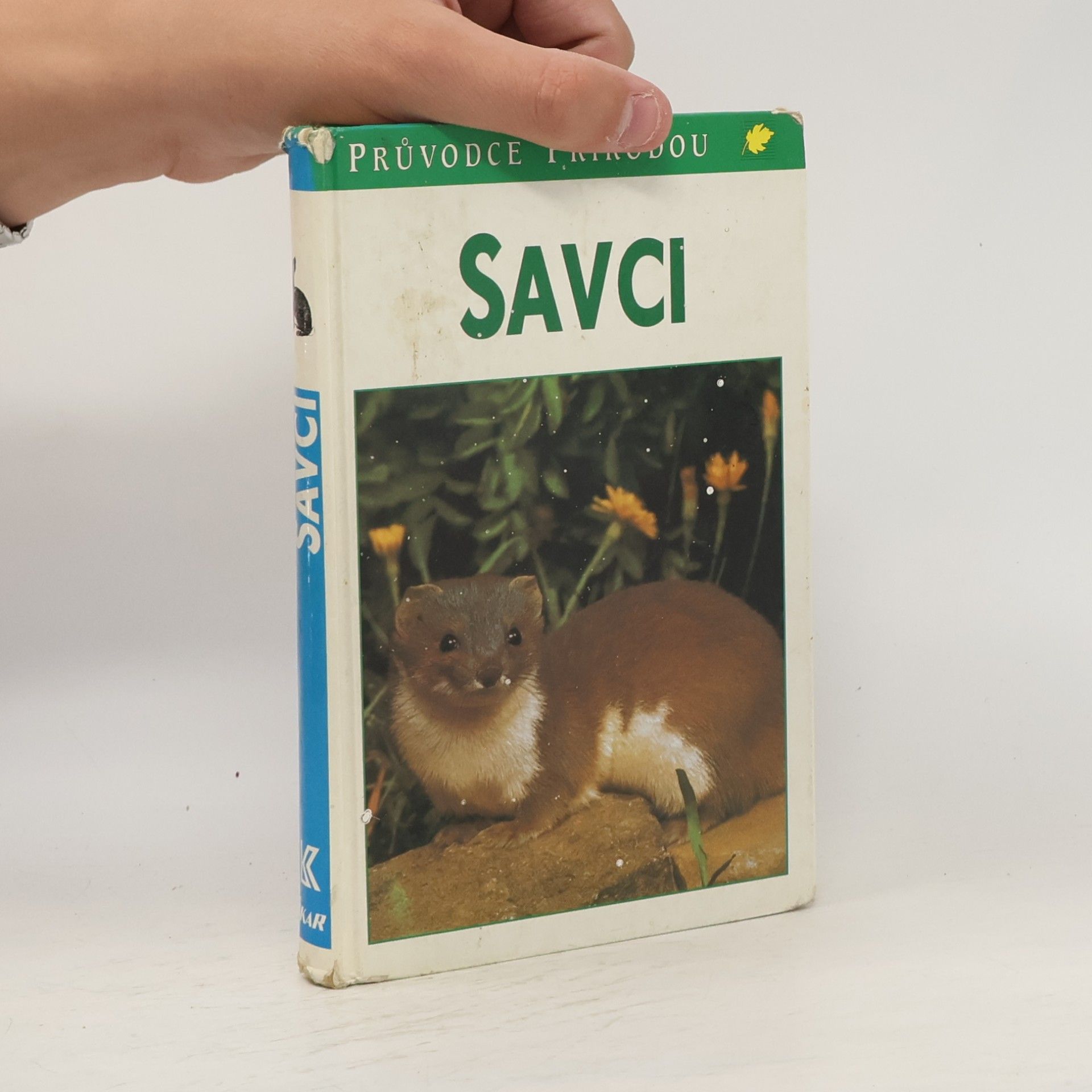 Gunter Steinbach Savci