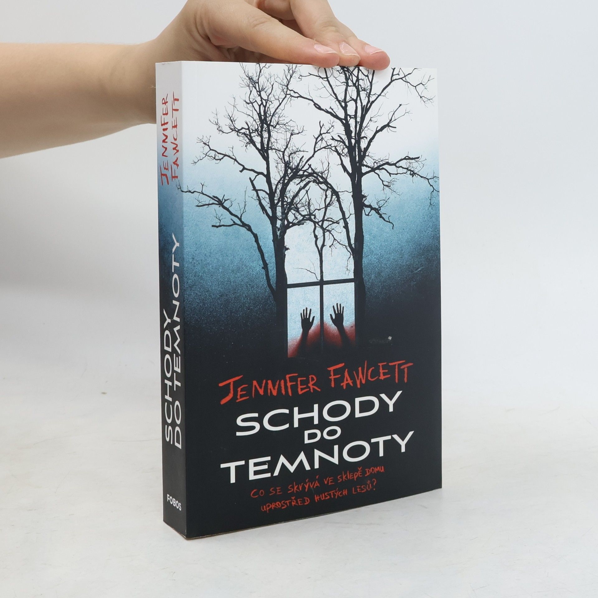 Jennifer Fawcett Schody do temnoty