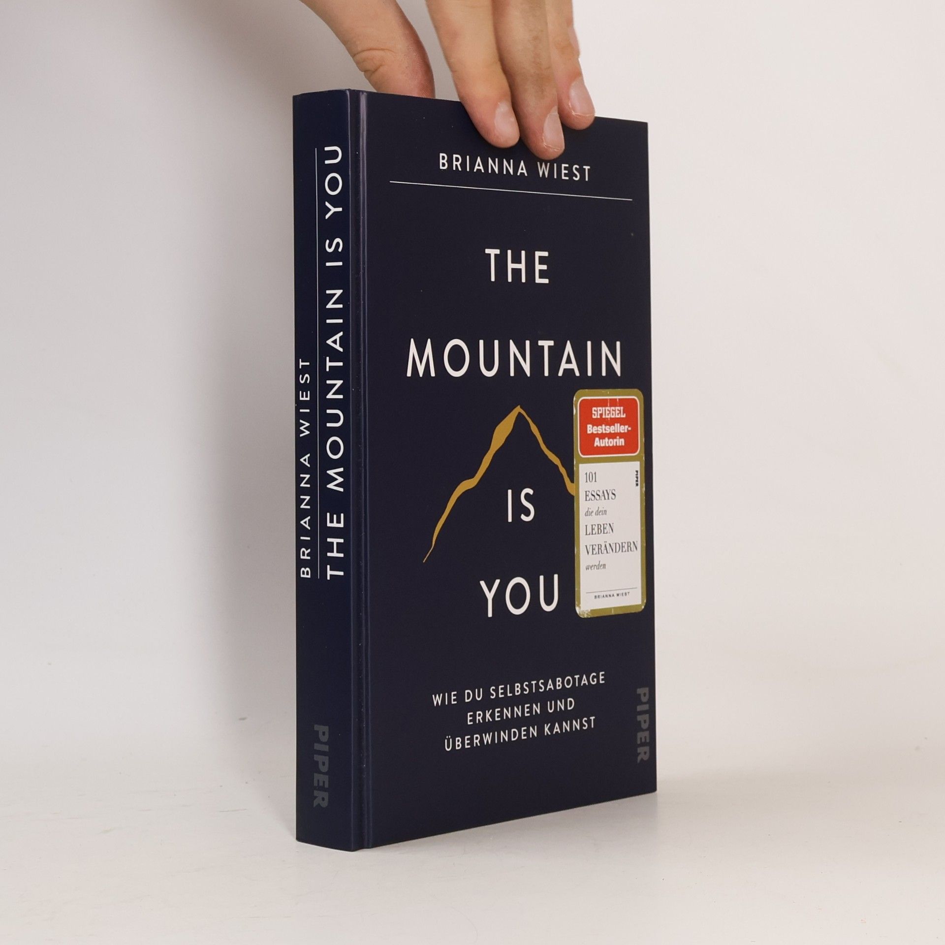 Brianna Wiest The Mountain Is You
