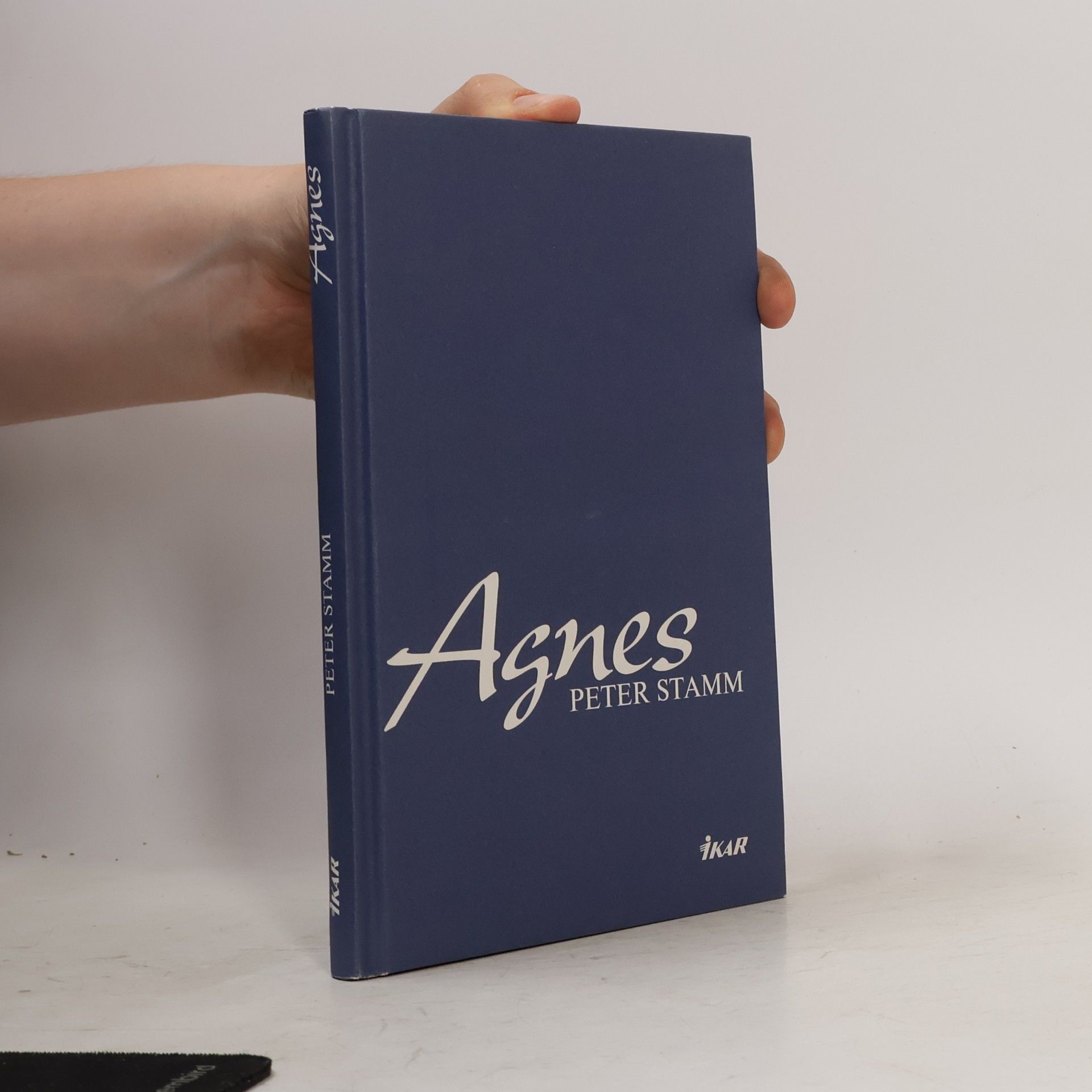 Peter Stamm Agnes