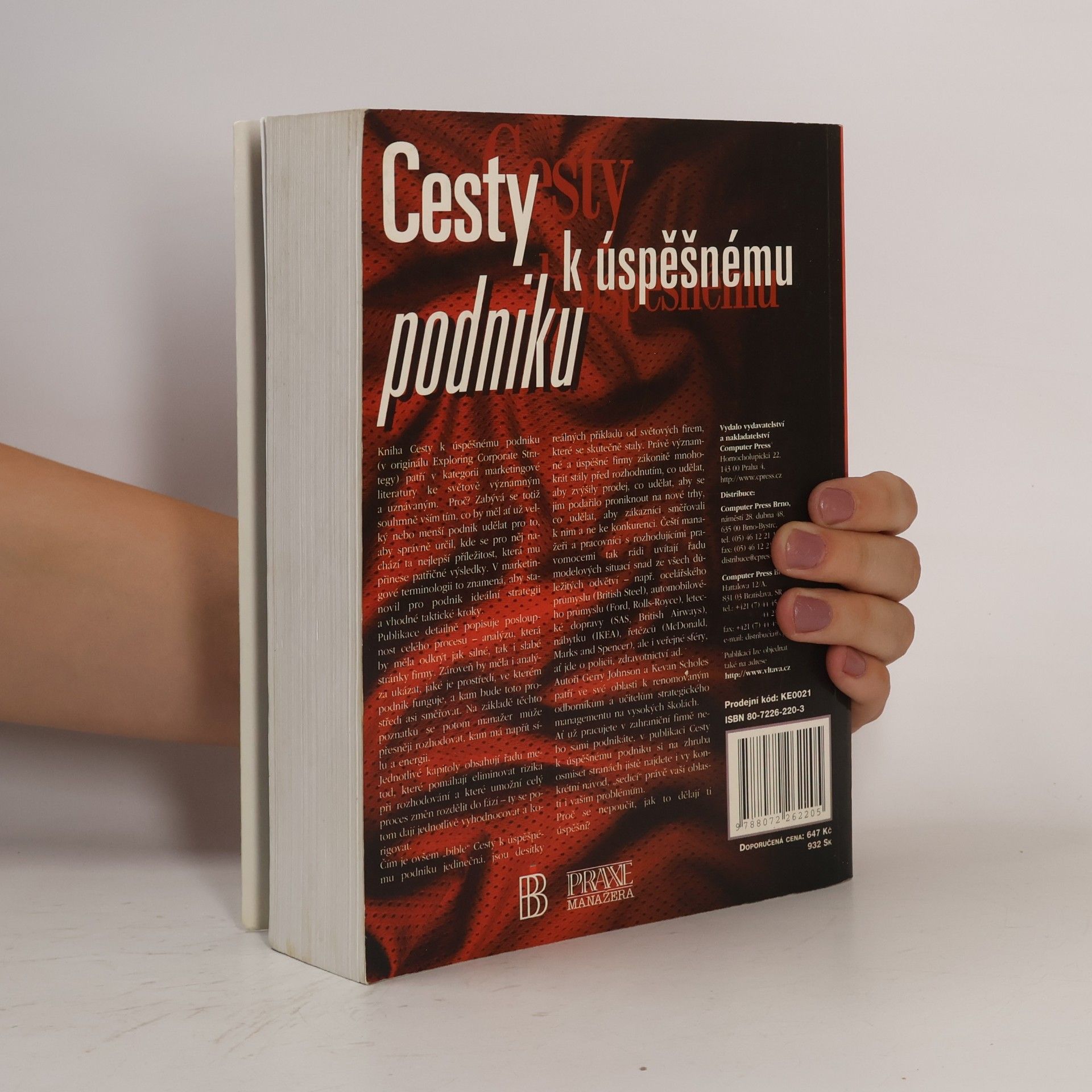 Gerry Johnson Cesty k úspěšnému podniku : stanovení cíle, techniky rozhodování