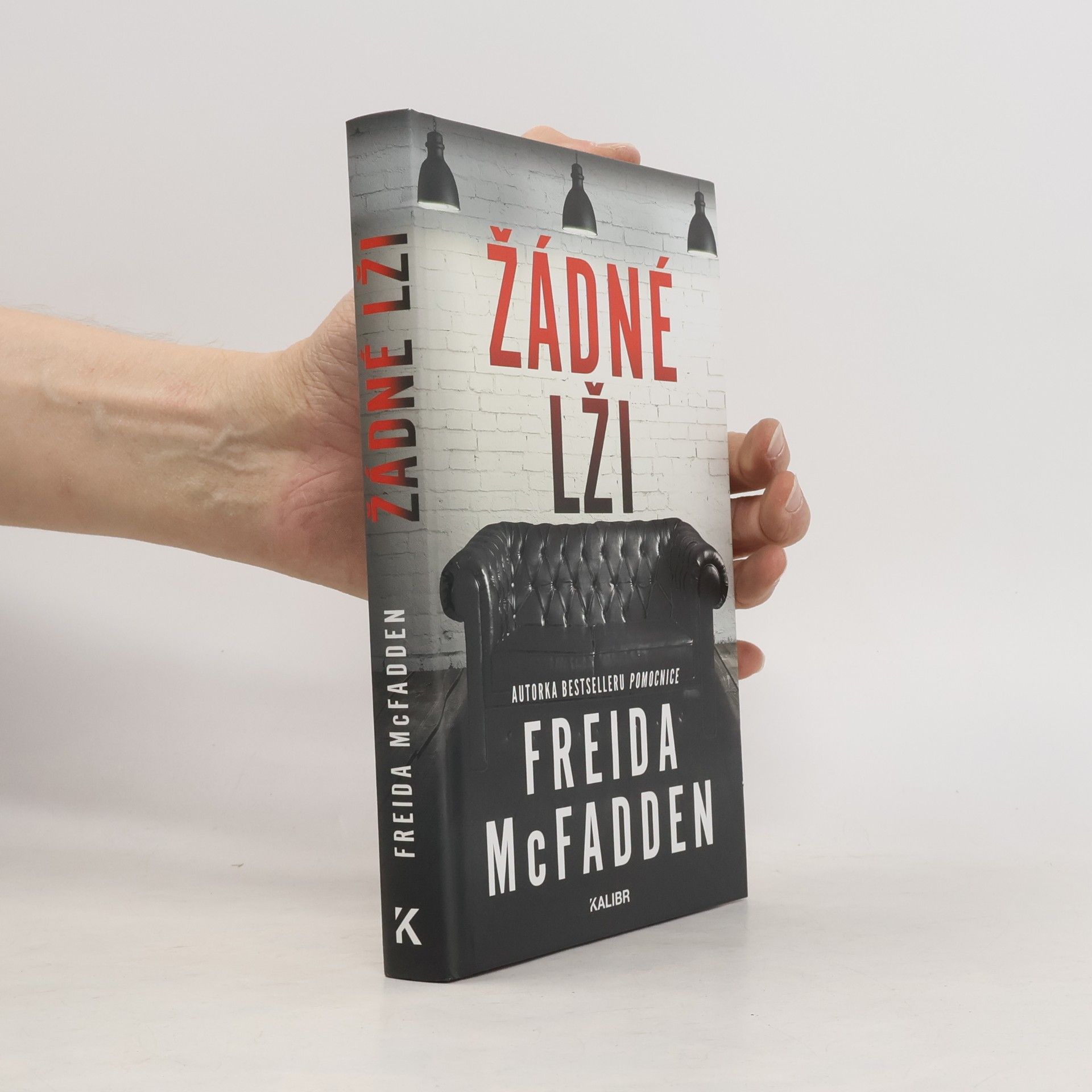 Freida McFaddenová Žádné lži