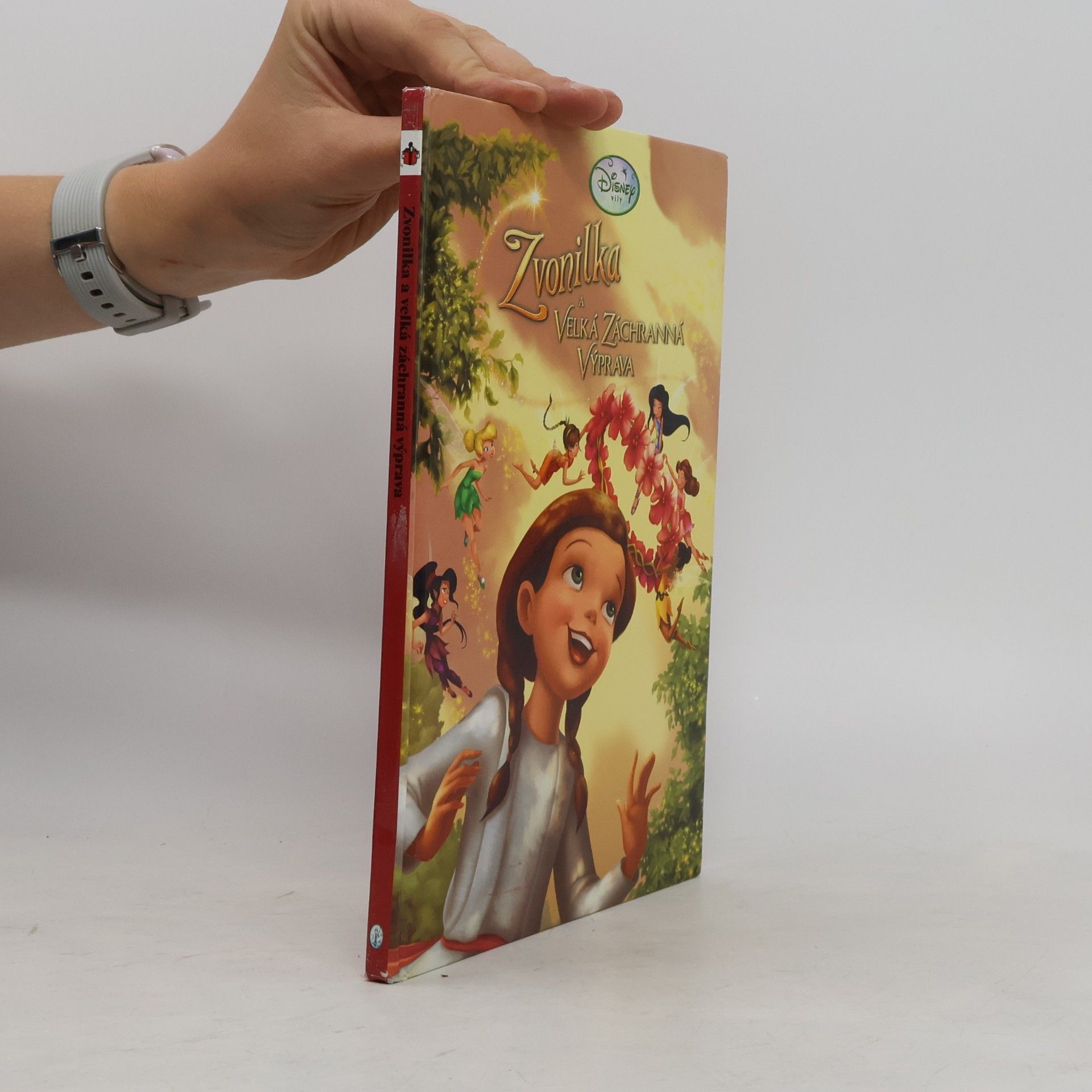 Walt Disney Zvonilka a Velká záchranná výprava