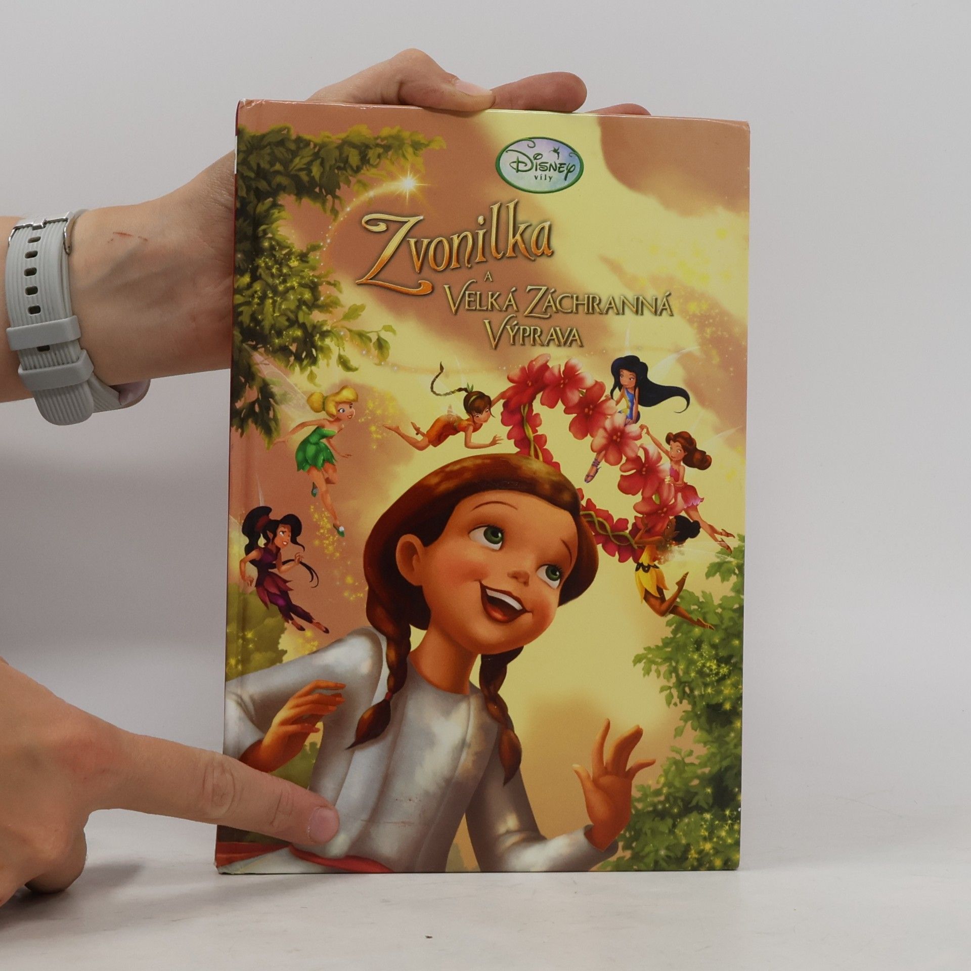 Walt Disney Zvonilka a Velká záchranná výprava