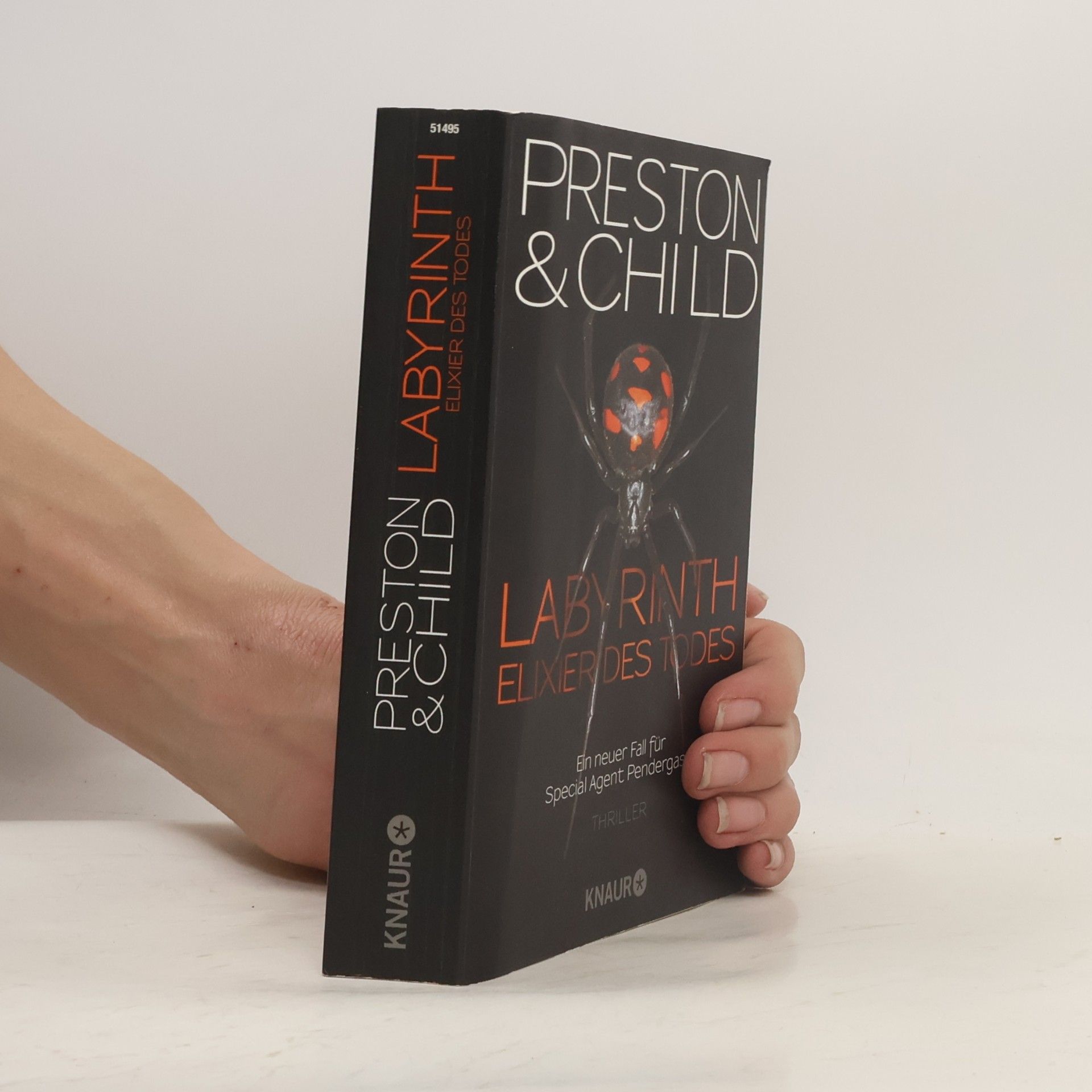 Douglas Preston Labyrinth