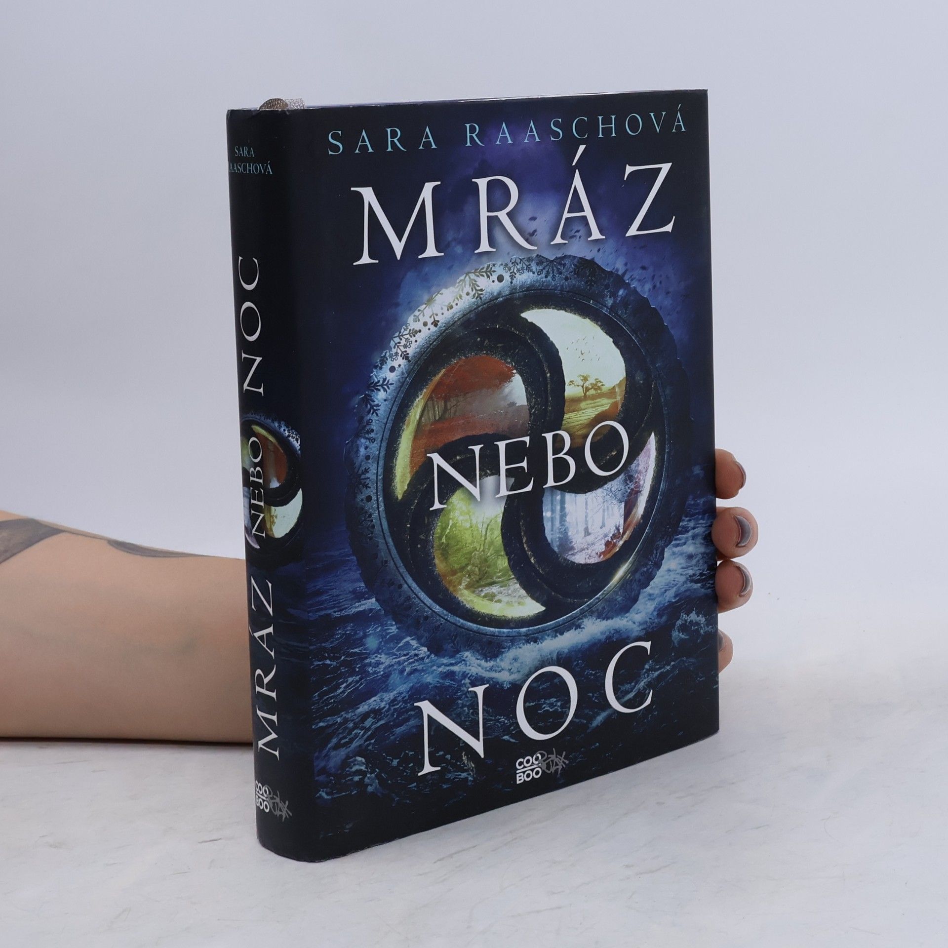 Sara Raasch Mráz nebo noc