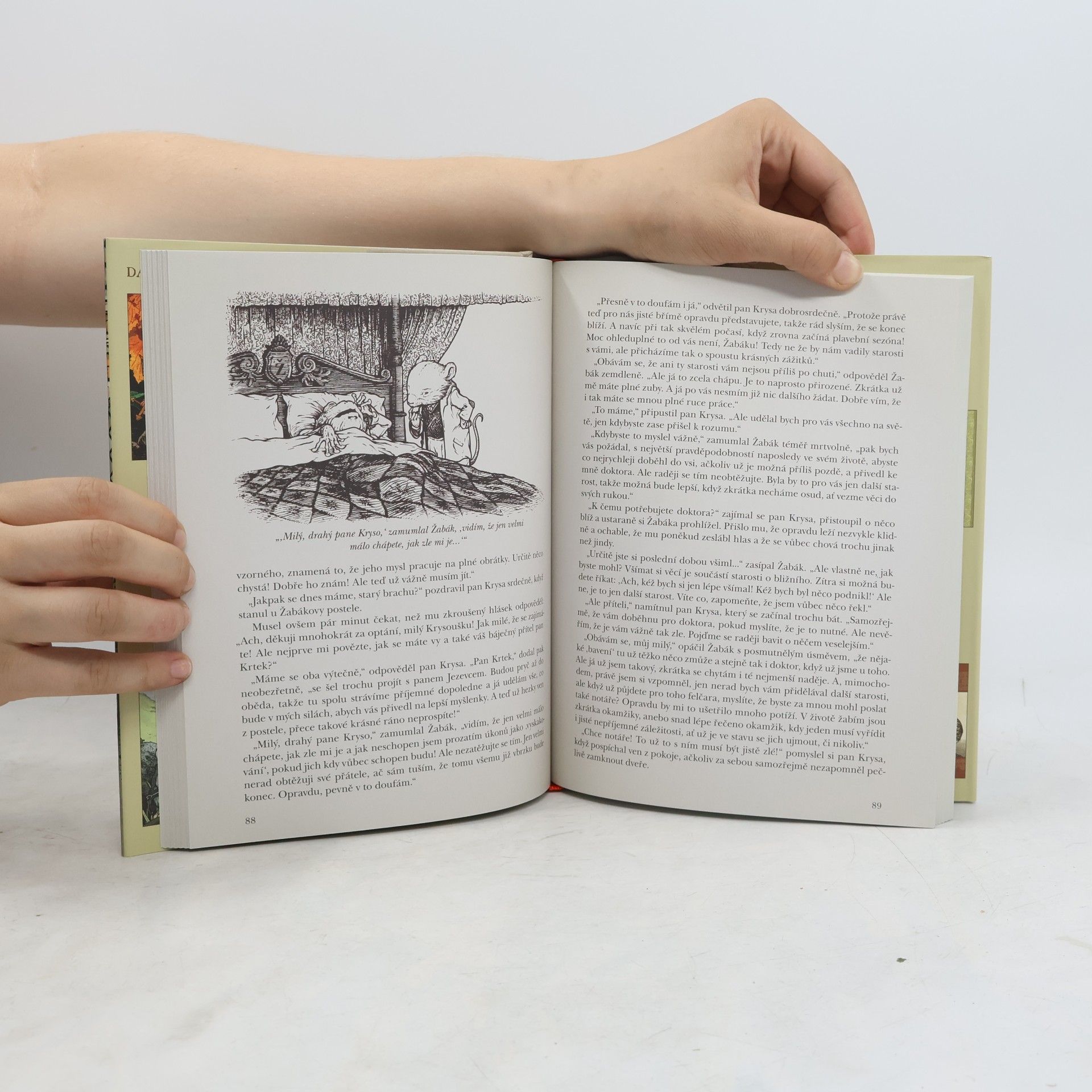 Kenneth Grahame Vítr ve vrbách aneb Žabákova dobrodružství